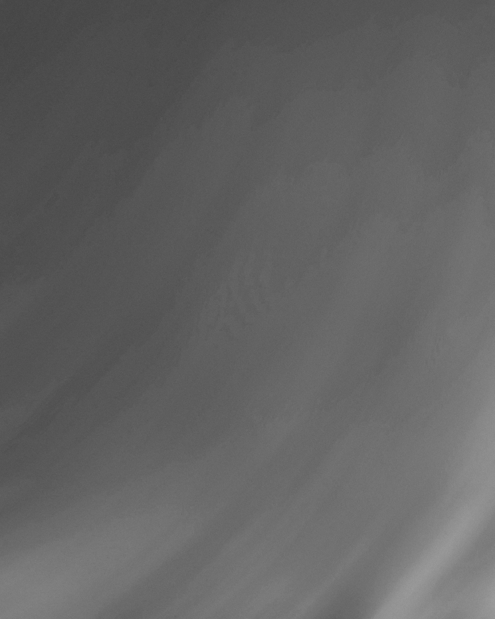 Tattoo Asylum portfolio piece