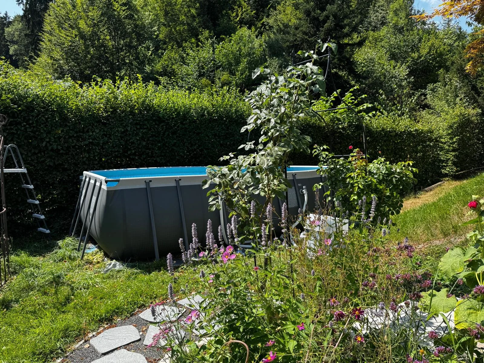 Pool_im_Garten_3.jpeg