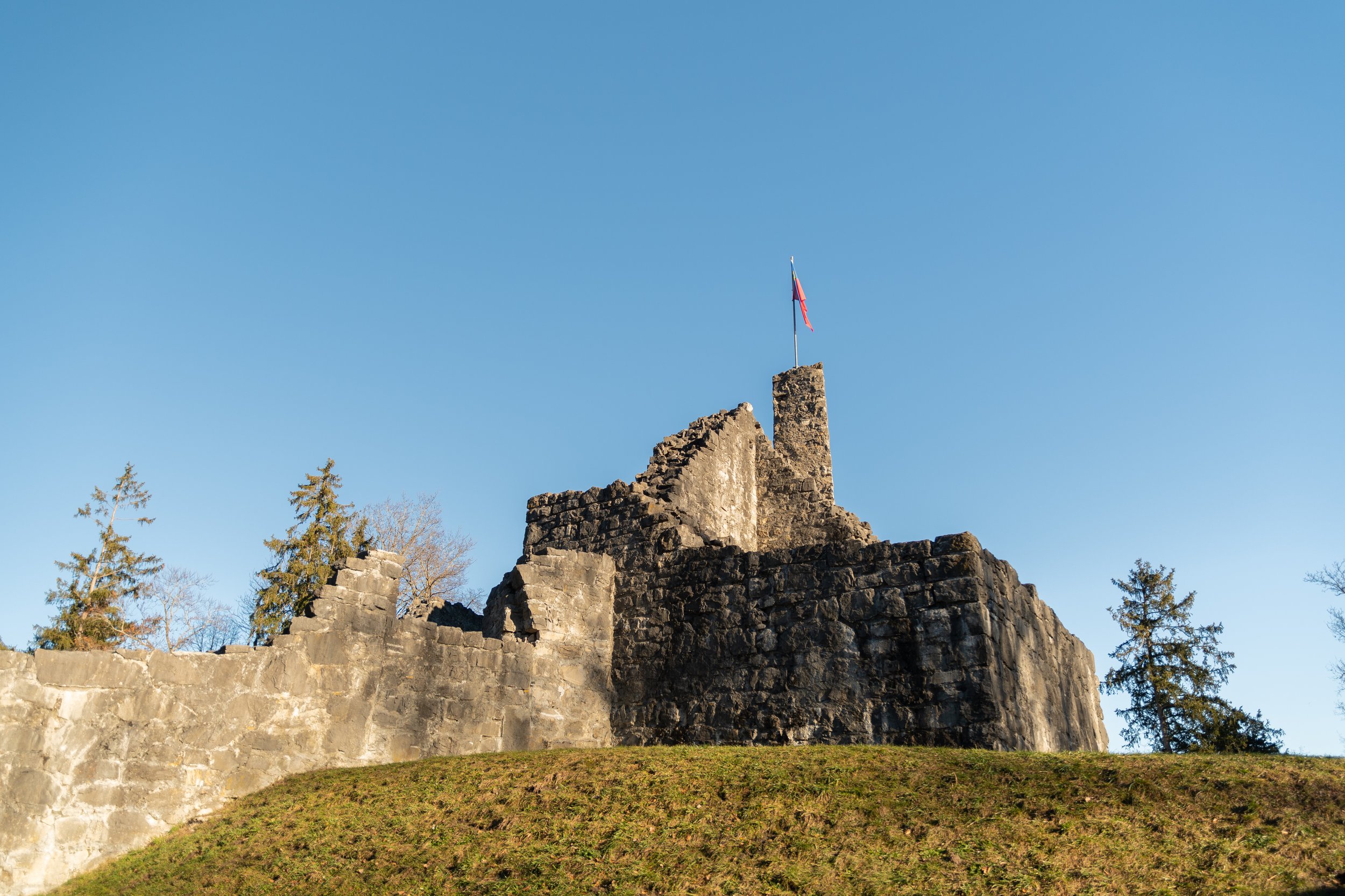Discover the Village Schellenberg