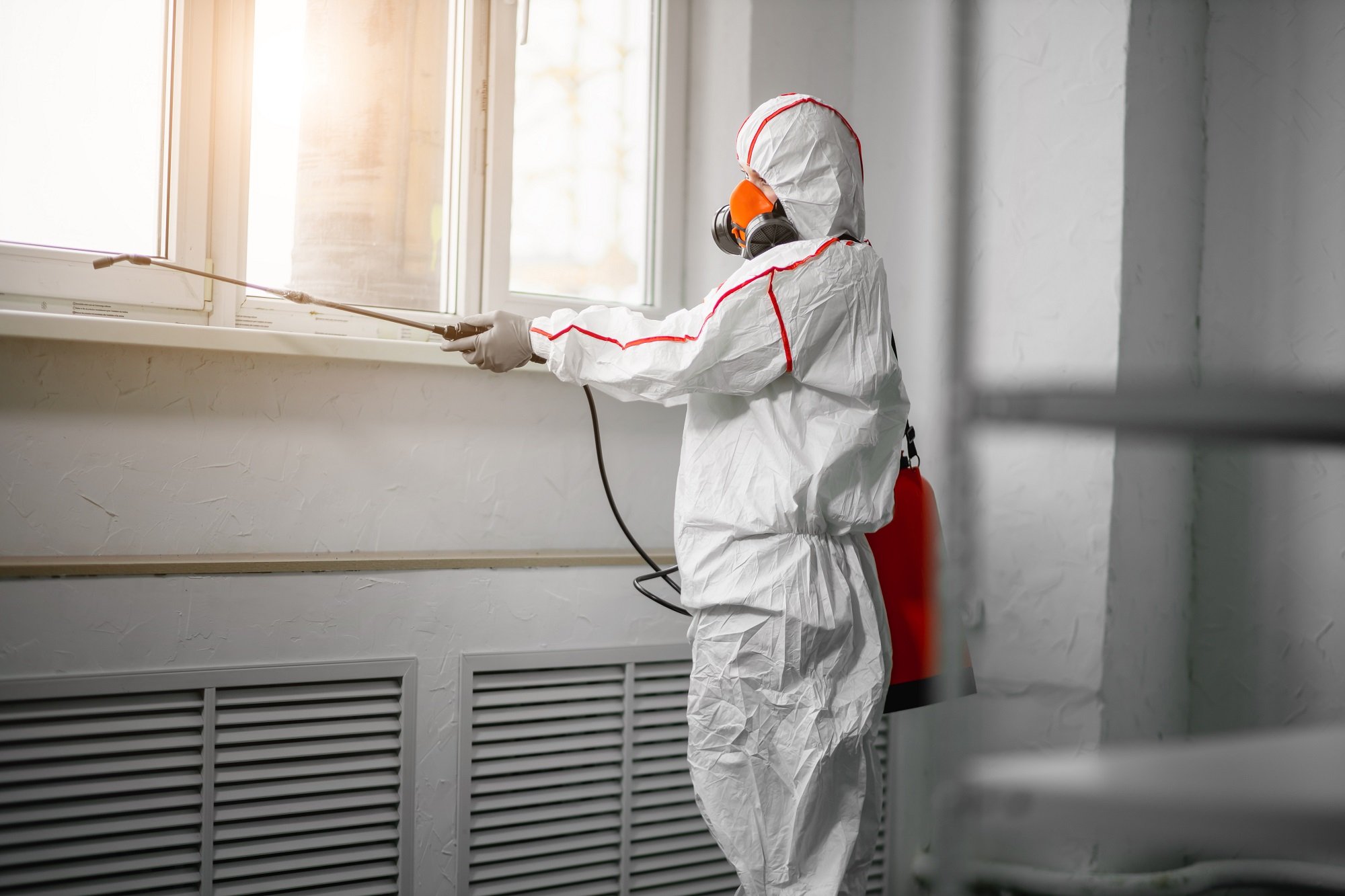 Thinking About Living in Punta Cana or La Romana? What You Should Know About Pest Control