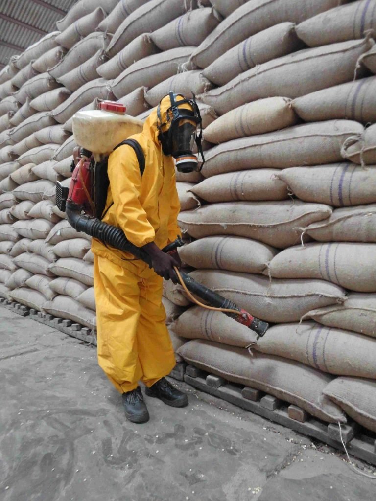 Fumigación Punta Cana: La Solución Profesional para un Ambiente Libre de Plagas en la Zona Este