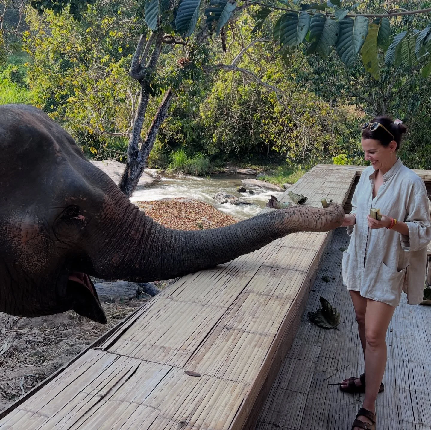 How wonderful it is to be in my 40s and still having new experiences. To still be in complete awe of this beautiful planet. To still laugh like a teenager. 

Grateful for this one, precious life.

🐘

#solotravels #gratitude #elephantsofinstagram #th