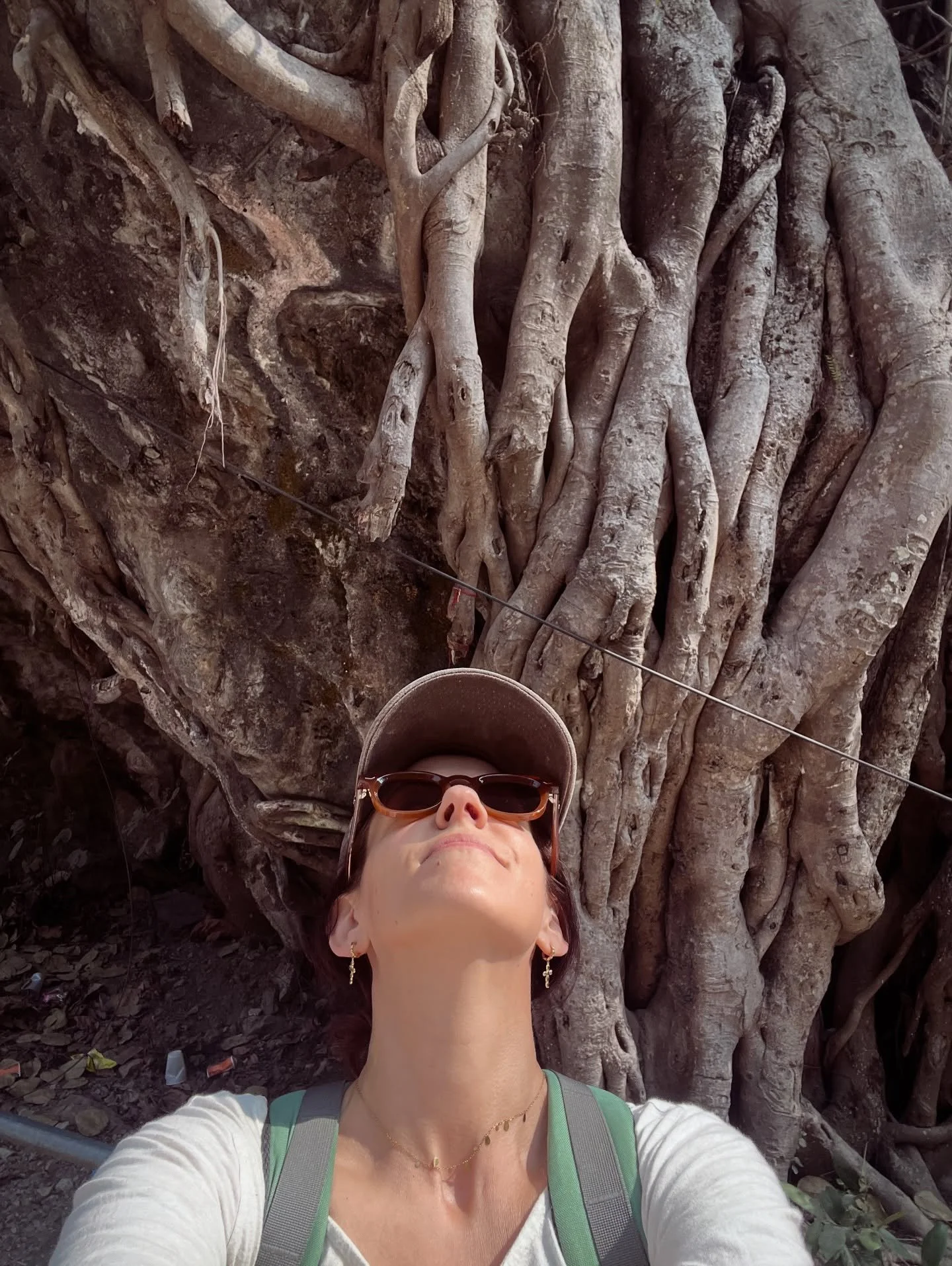 The higher the tree grows, the deeper the roots must go.

I&rsquo;ve wanted to visit Rishikesh for a loooong time. As a yoga teacher, it feels like a rite of passage to return to the Himalayan foothills that birthed this ancient practice. It feels li