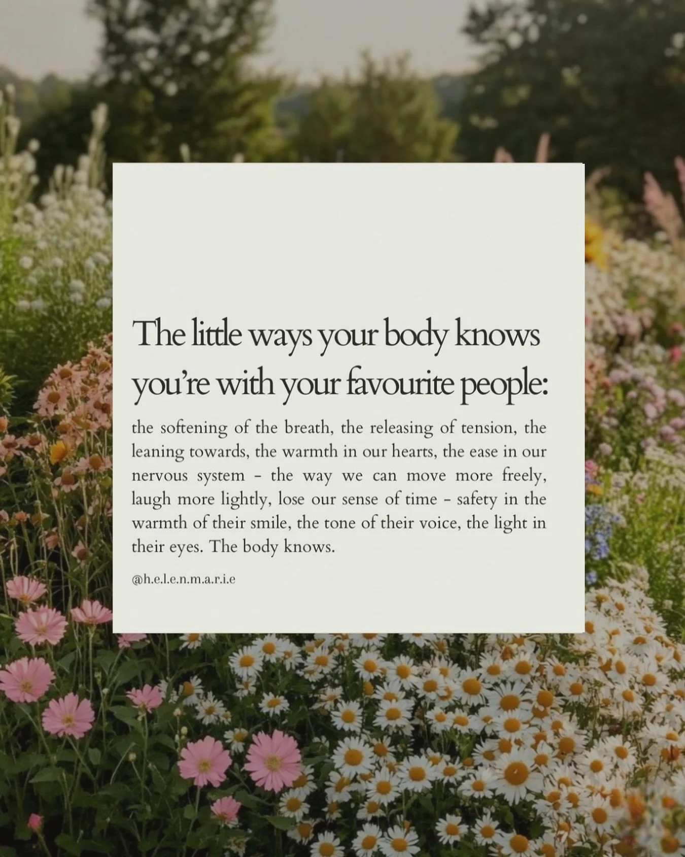 The body knows.

#BodWisdom #Healing #NervousSystemRegulation #NervousSystemHealth #TheBodyKnows