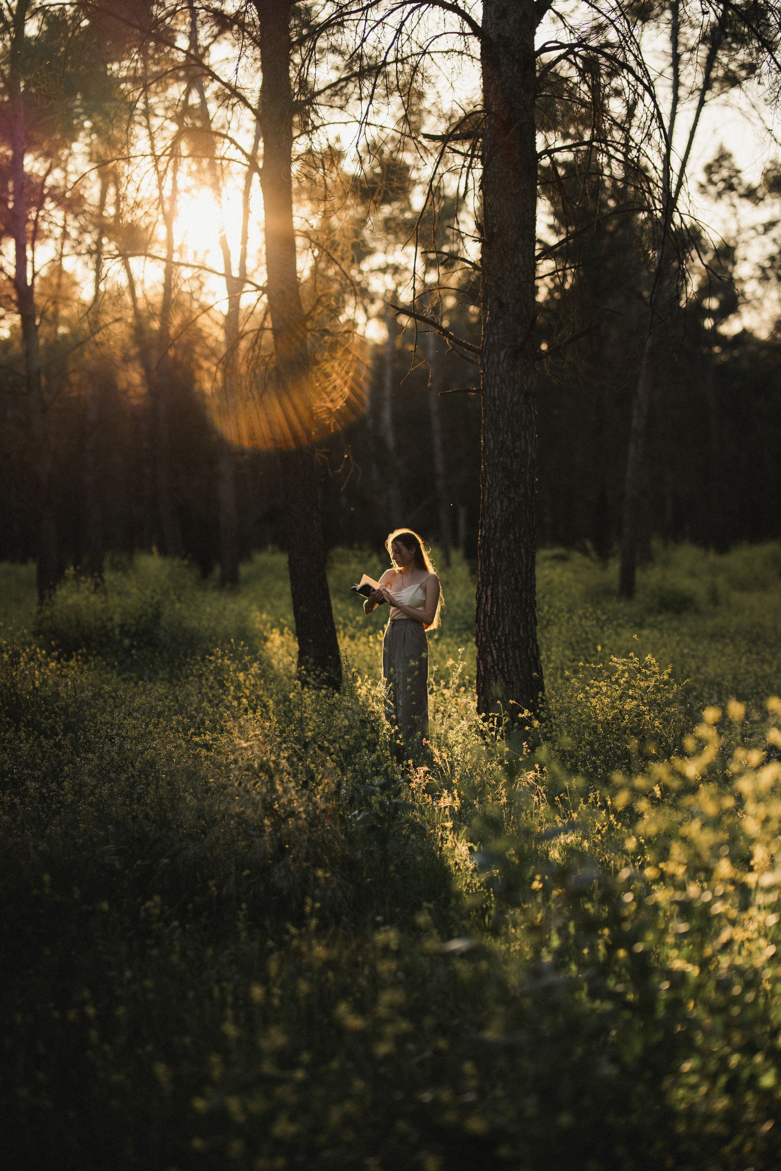 woman standing in a forest at sunset reading a book