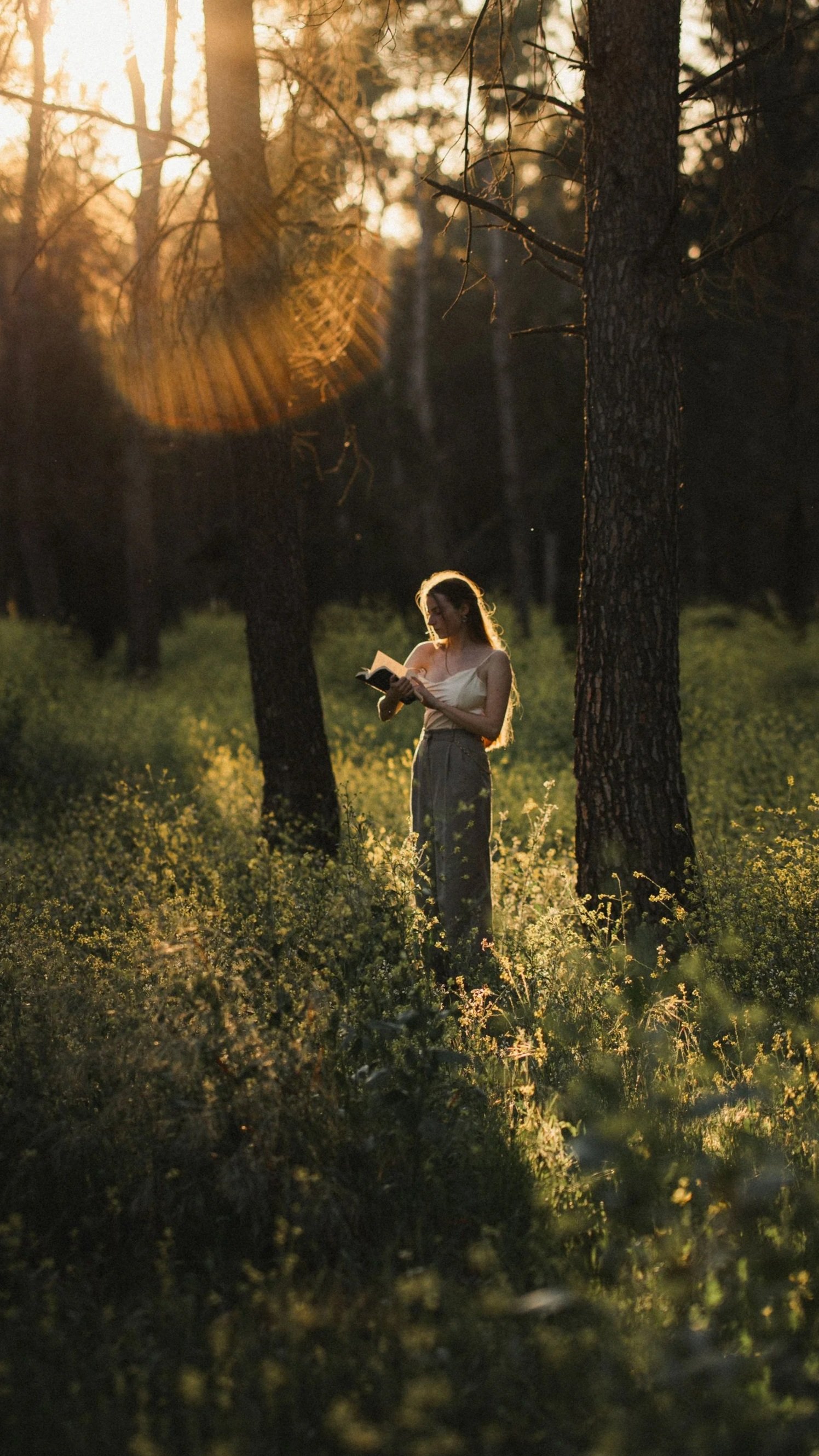 A woman standing in a forest during sunset, reading a book amidst tall trees and green foliage.
