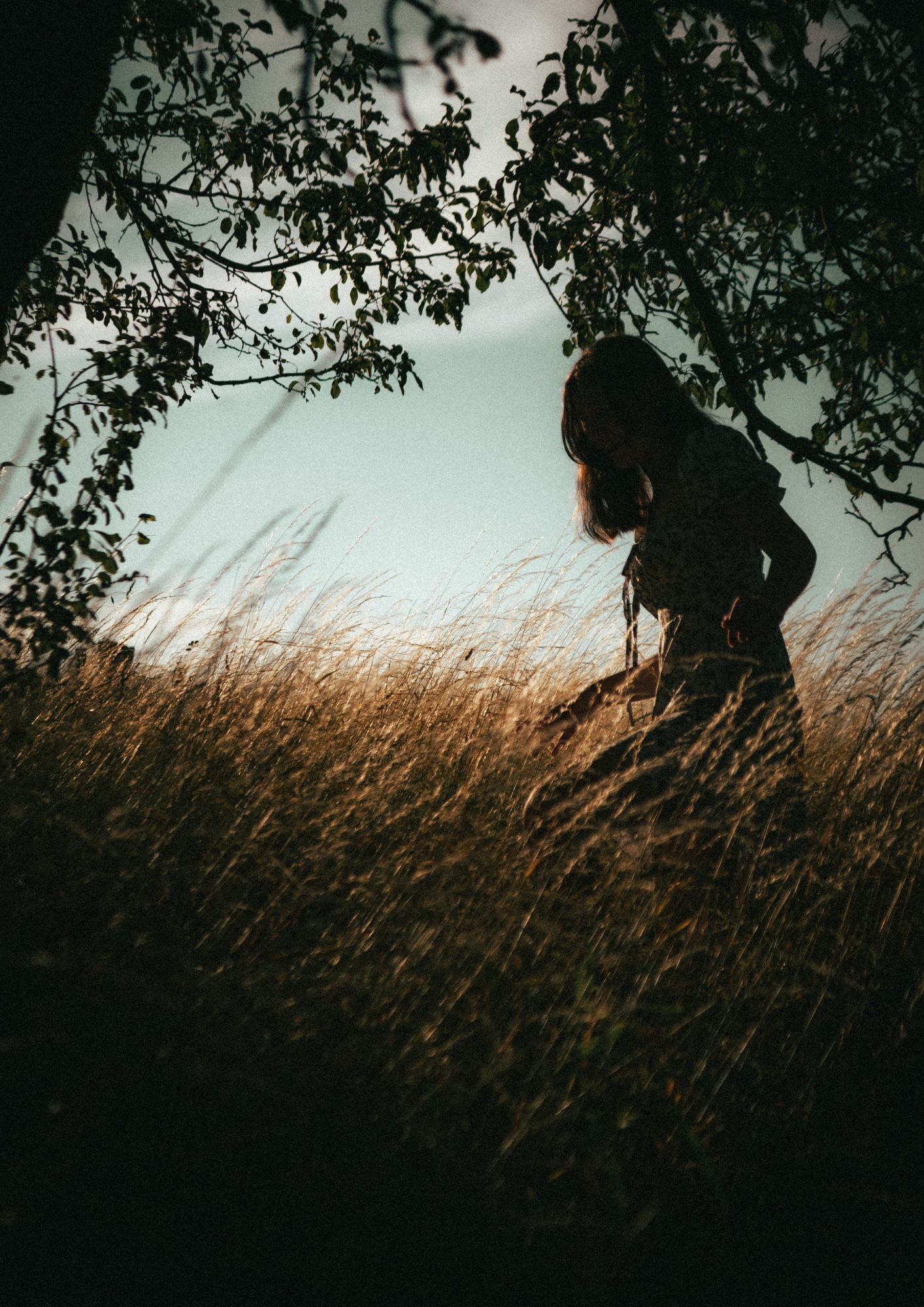 Silhouette of a person sitting in a grassy field with trees and sky in the background during sunset or sunrise.