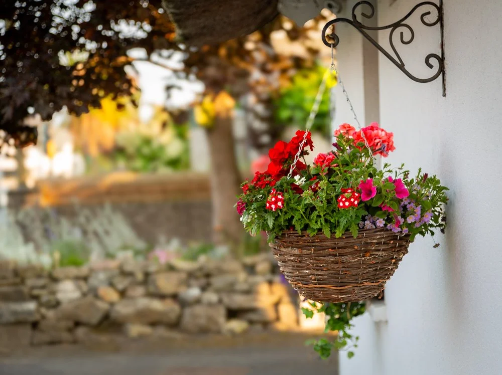 Hanging flower basket with red, pink, purple, and white flowers attached to a white exterior wall.