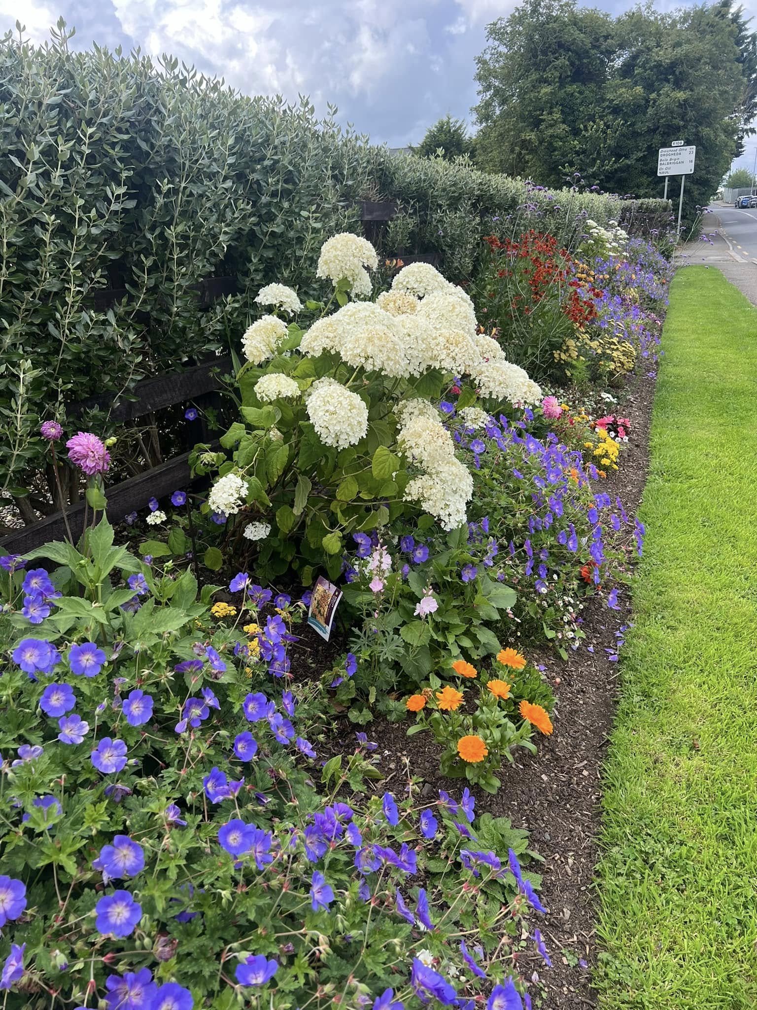 Colorful flower bed along a grassy roadside with purple, orange, pink, white, and red flowers, and a hedge in the background under a cloudy sky.
