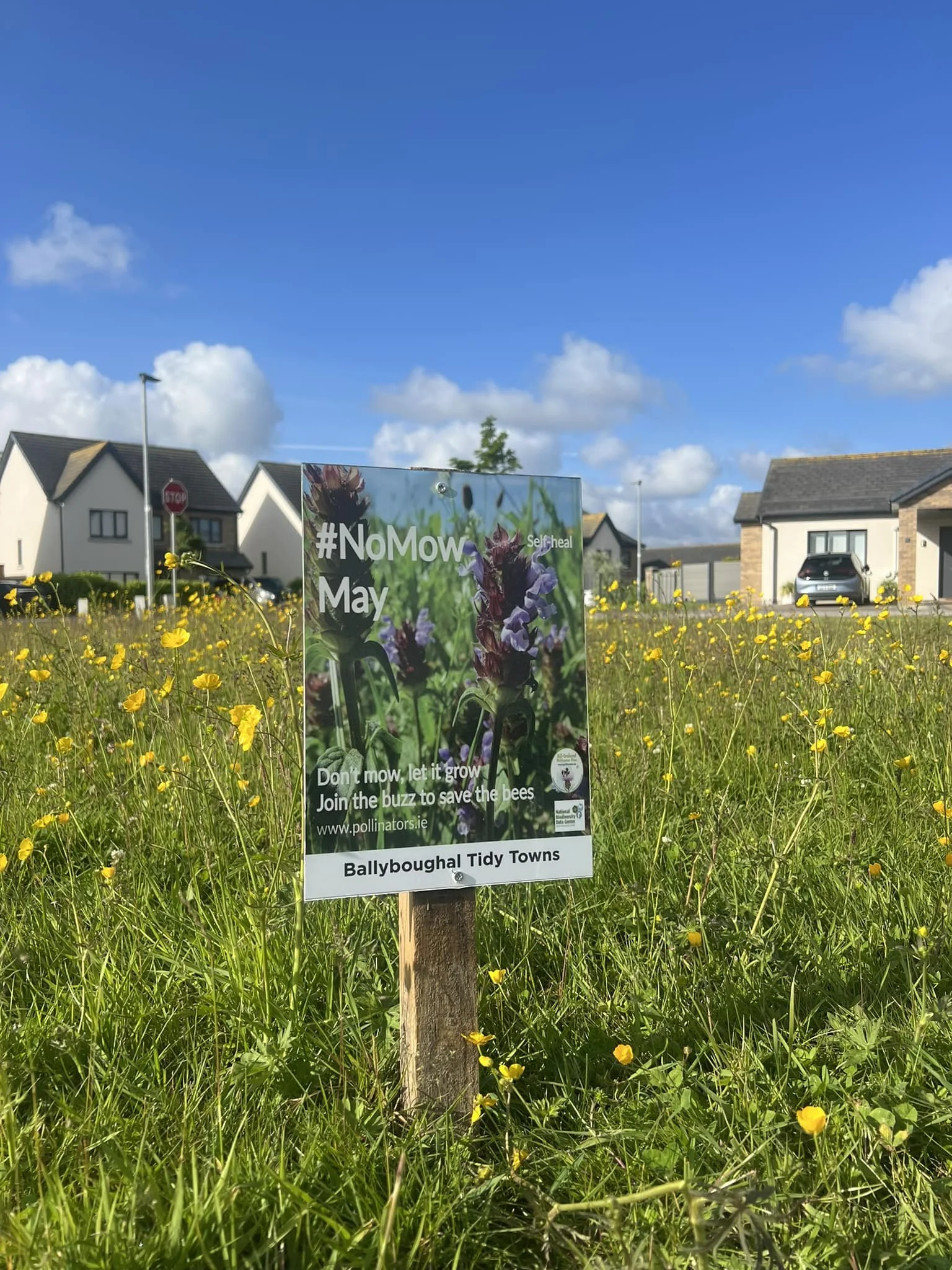 A sign in a grassy field with yellow flowers, reading '#NoMow May, Don't mow, let it grow, Join the buzz to save the bees, www.pollinators.ie, Ballyboughal Tidy Towns', with houses and a clear blue sky in the background.