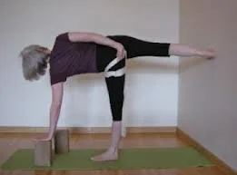 half moon diagnostic.jpg