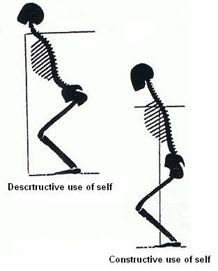 spine workshop image 1.jpg