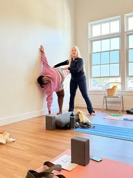 Feb 23, 2026 at 12_08 PM.jpg