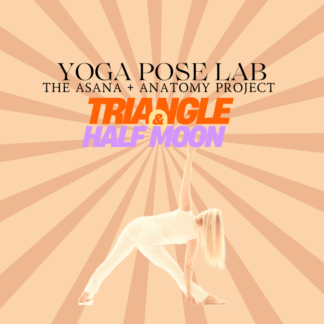 Yoga+Pose+Lab-+triangle.png