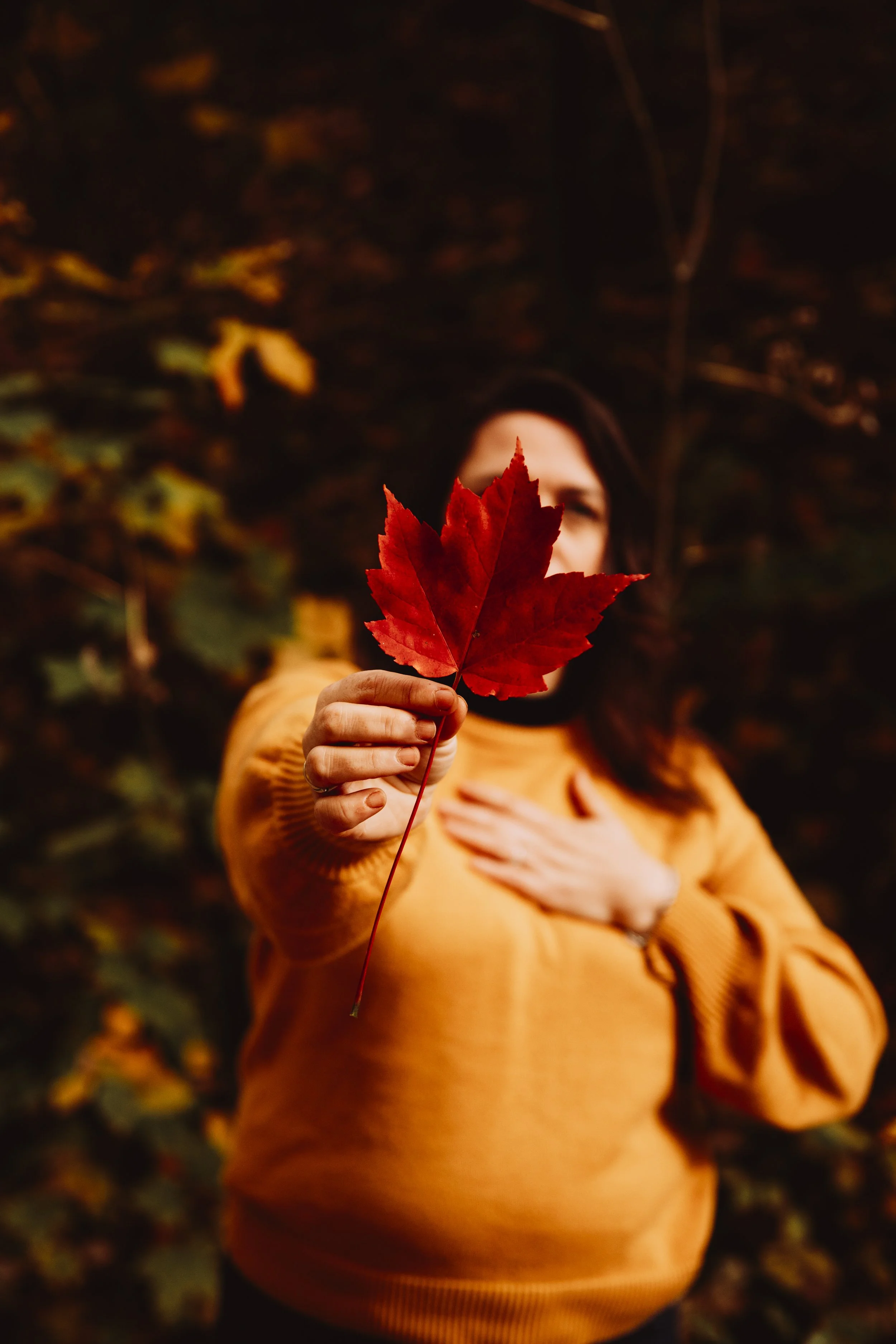 Accompagnement capillaire doux et bienveillant pour les personnes atteintes de cancer/chimiothérapie Beauce Québec