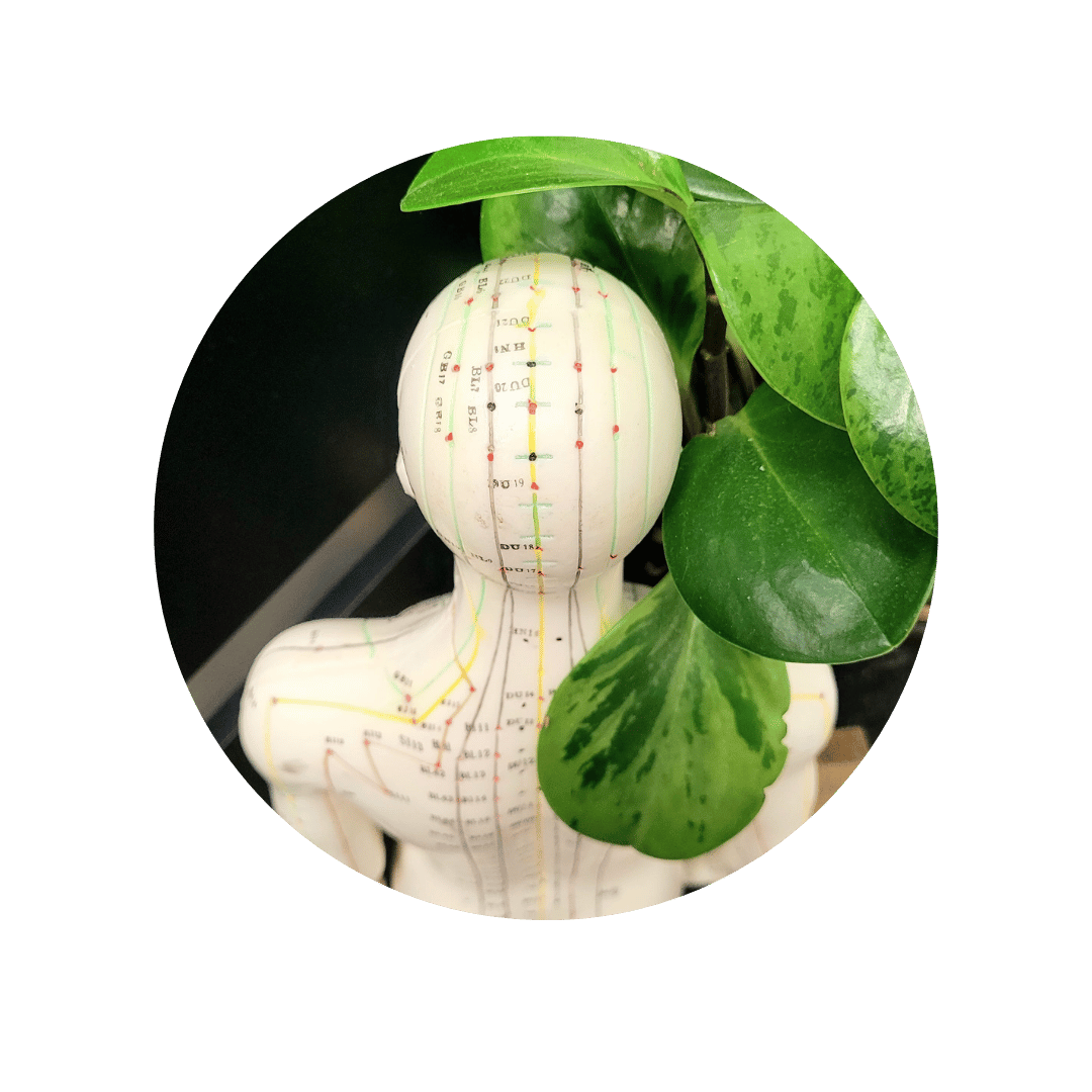 Explication des principes de la médecine chinoise et des méridiens crâniens