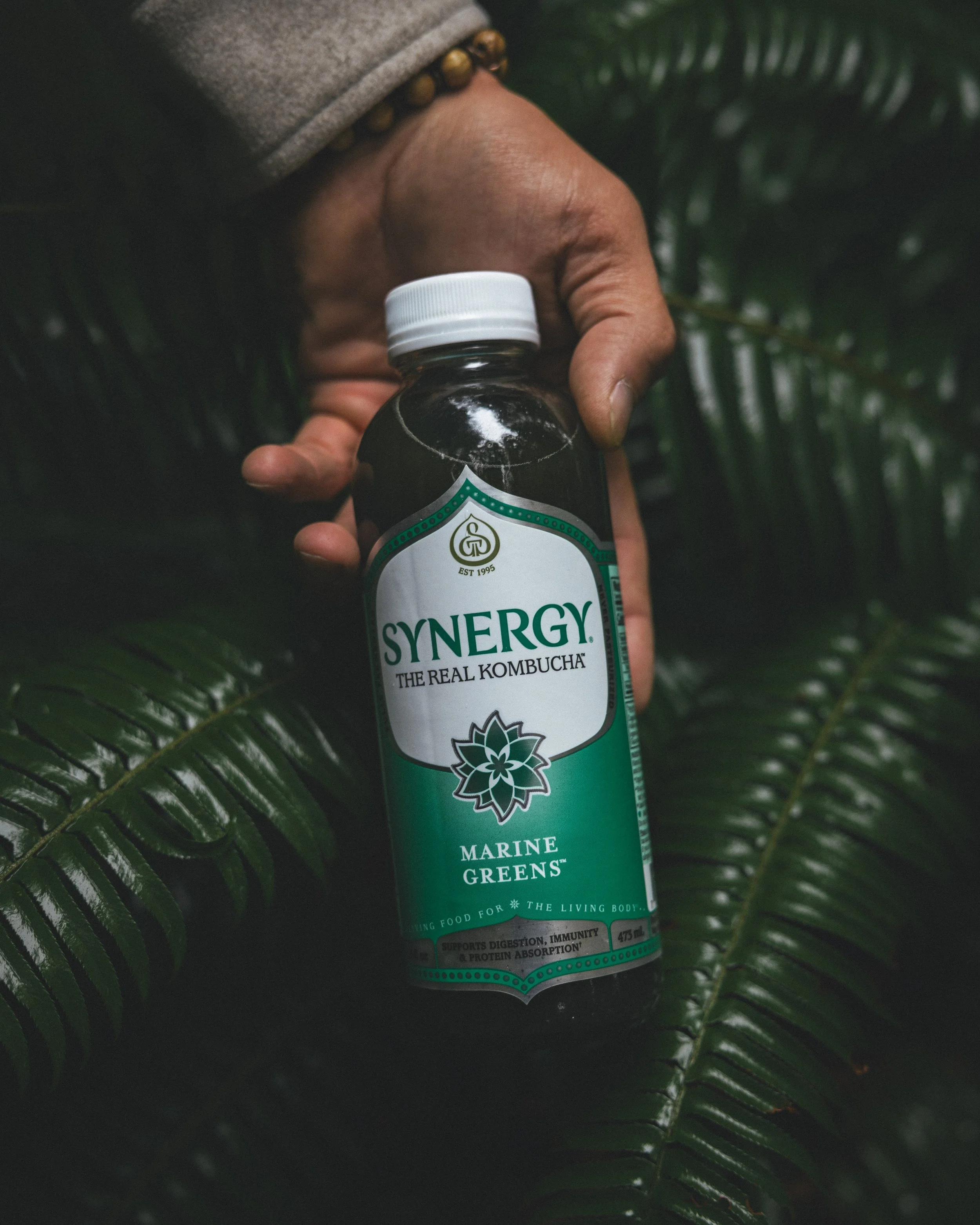 Synergy Kombucha Marine Greens Pacific Northwest Product And Life Style Spec Work