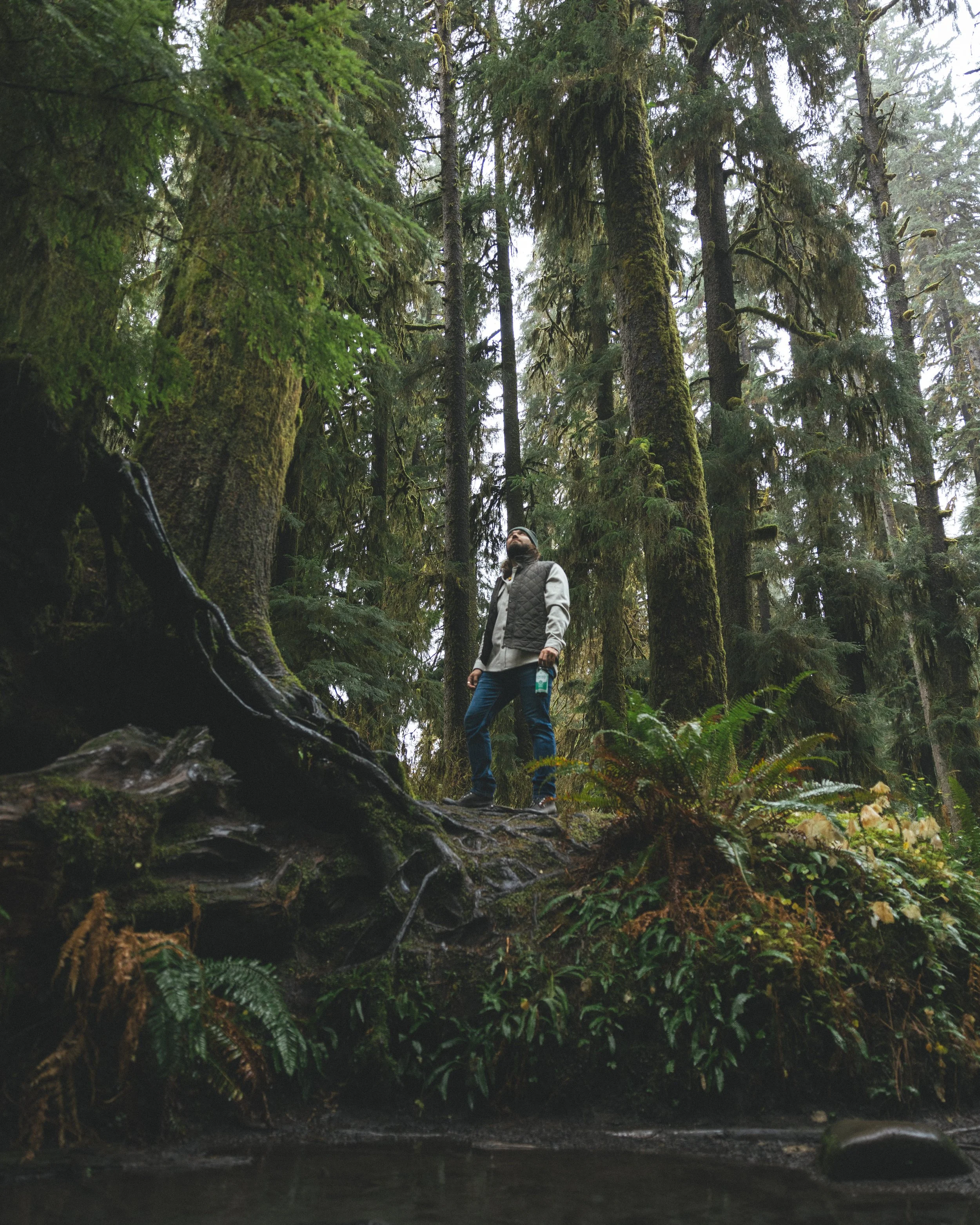 Synergy Kombucha Marine Greens Pacific Northwest Product And Life Style Spec Work