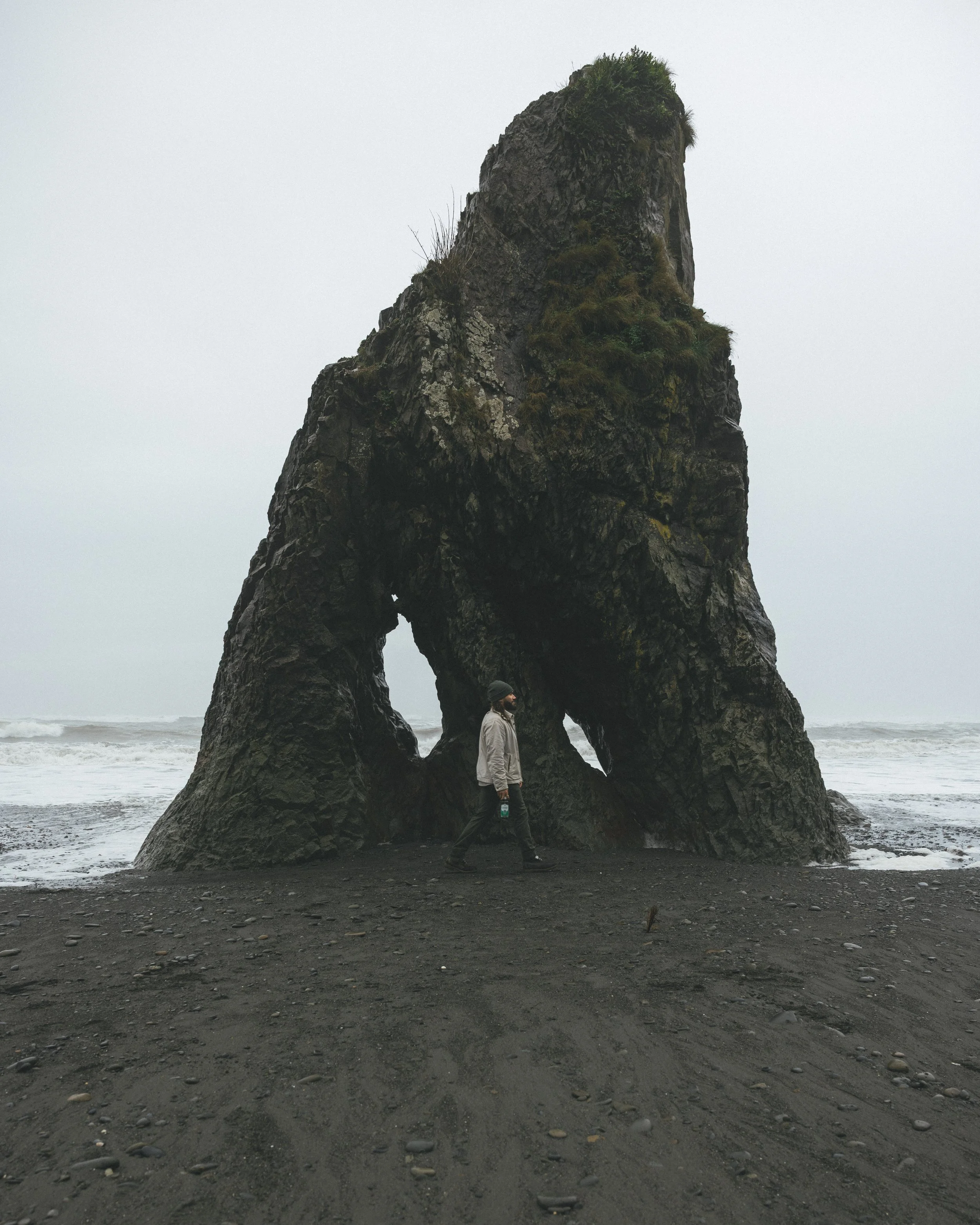 Synergy Kombucha Marine Greens Pacific Northwest Product And Life Style Spec Work