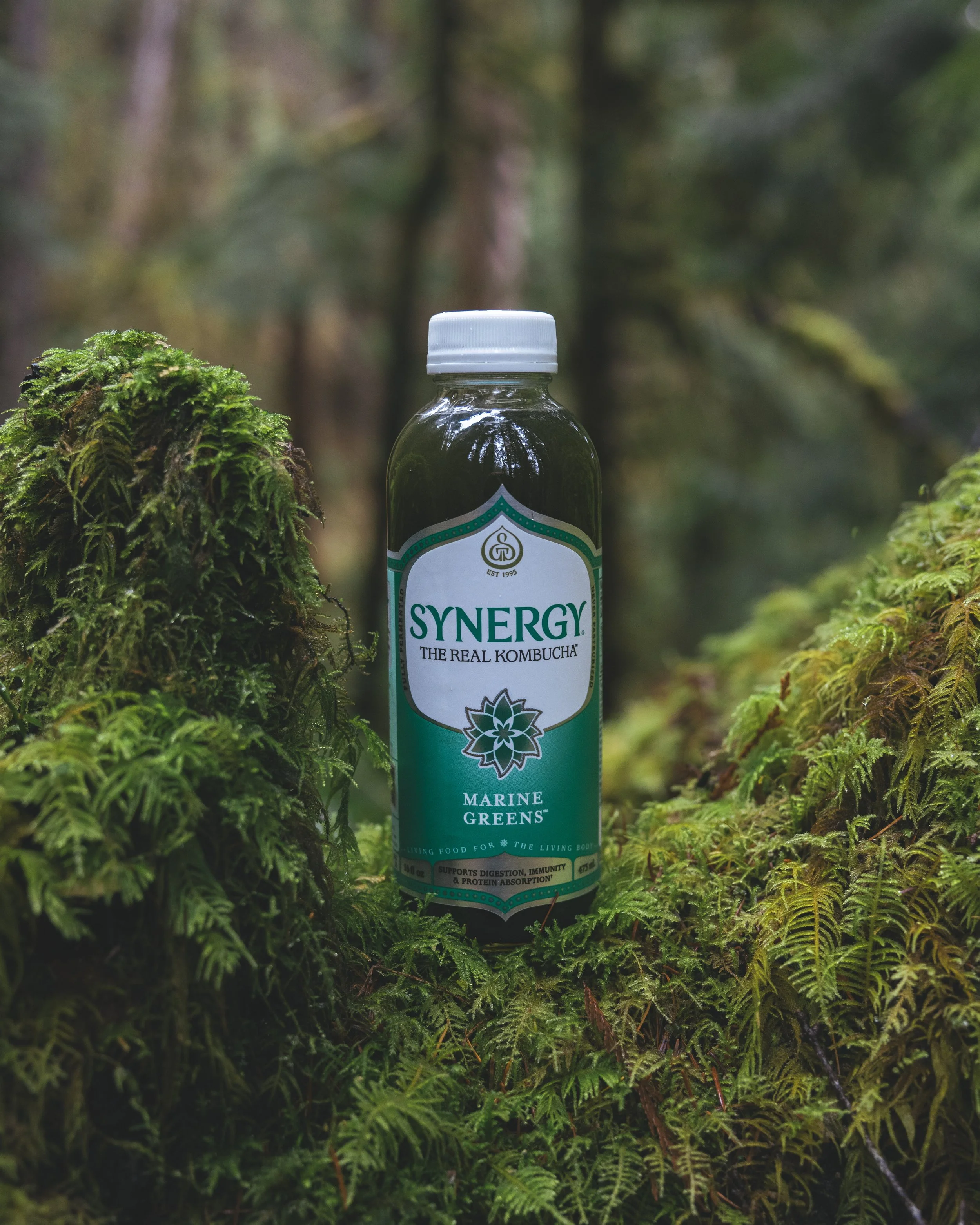 Synergy Kombucha Marine Greens Pacific Northwest Product And Life Style Spec Work