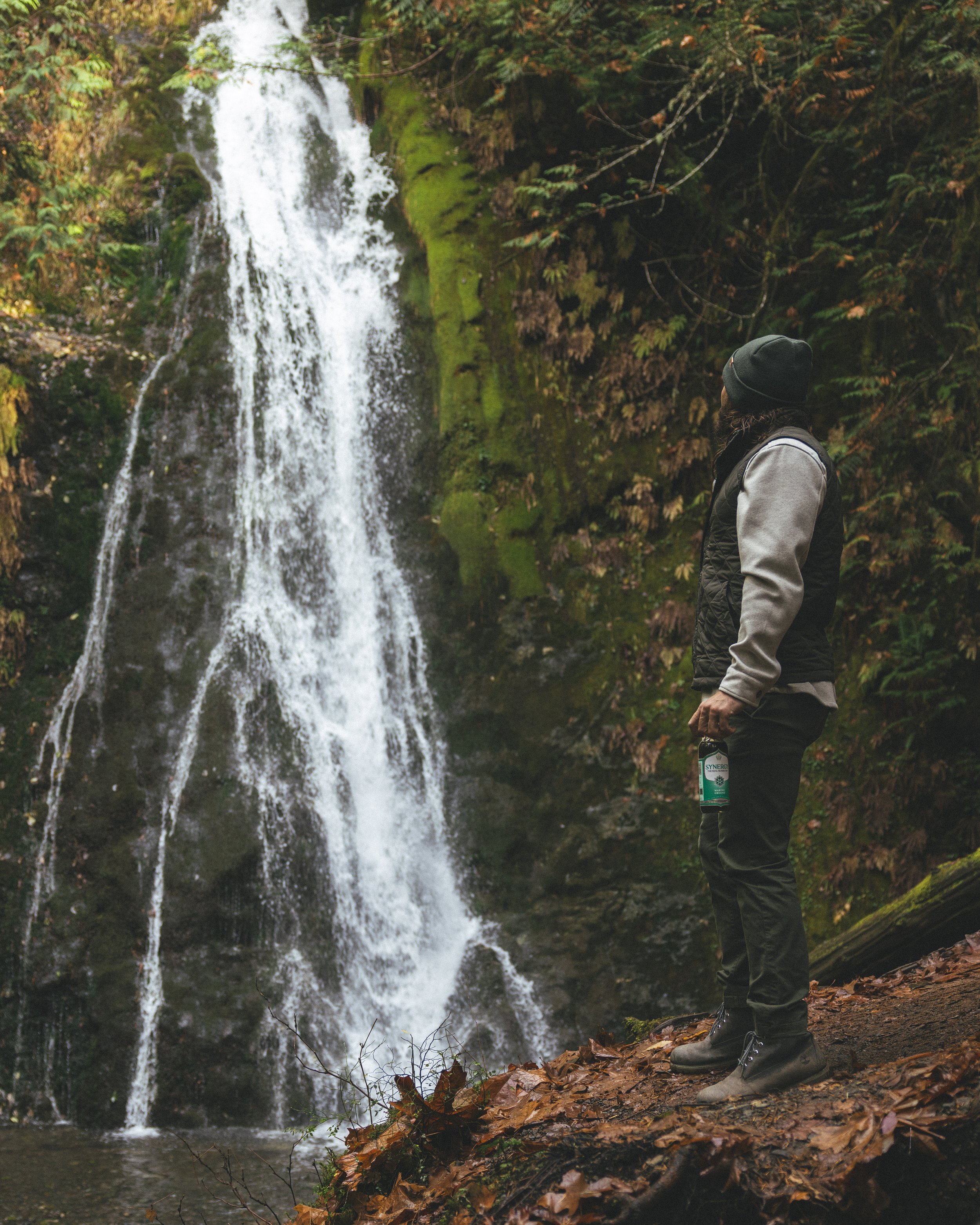 Synergy Kombucha Marine Greens Pacific Northwest Product And Life Style Spec Work