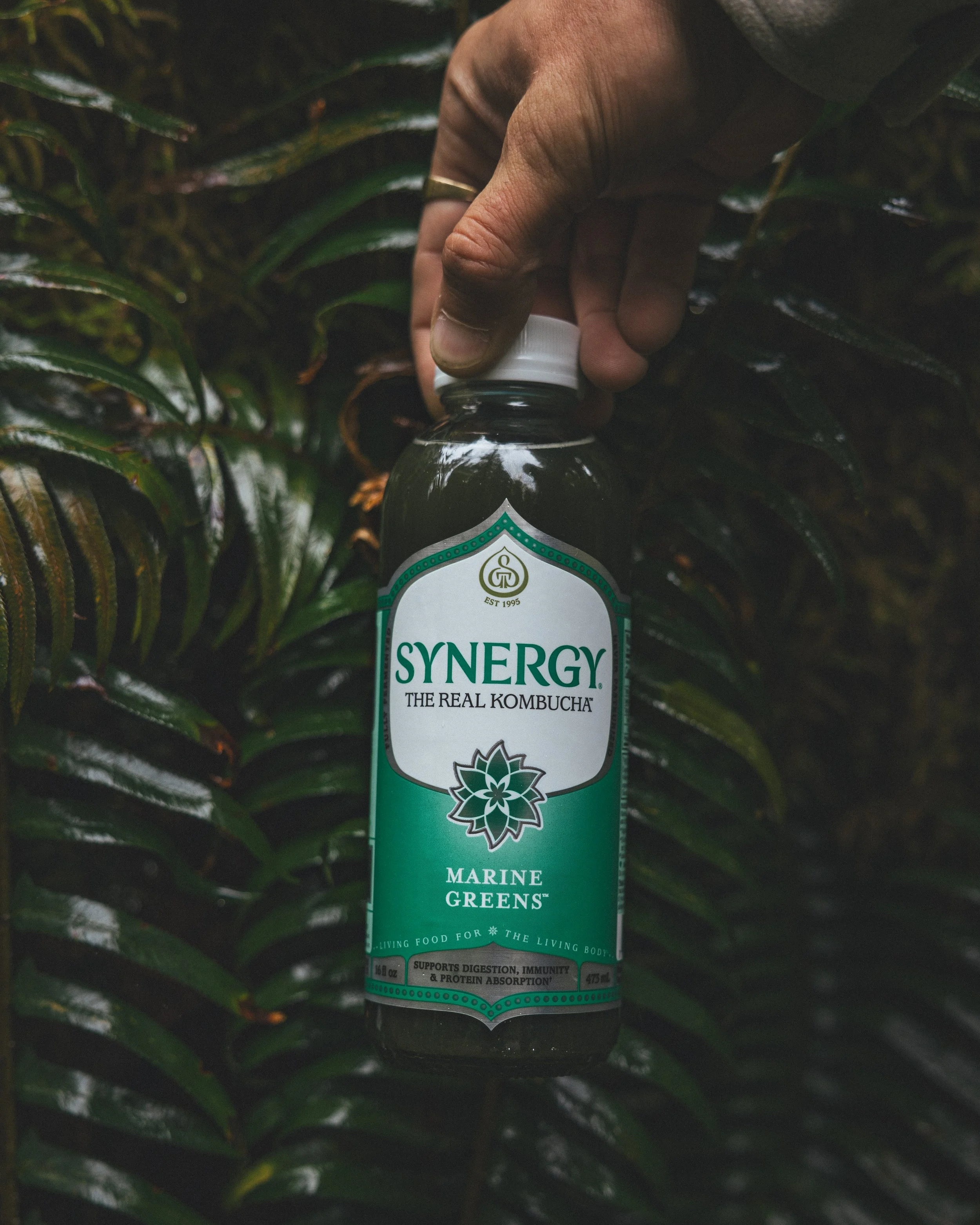 Synergy Kombucha Marine Greens Pacific Northwest Product And Life Style Spec Work