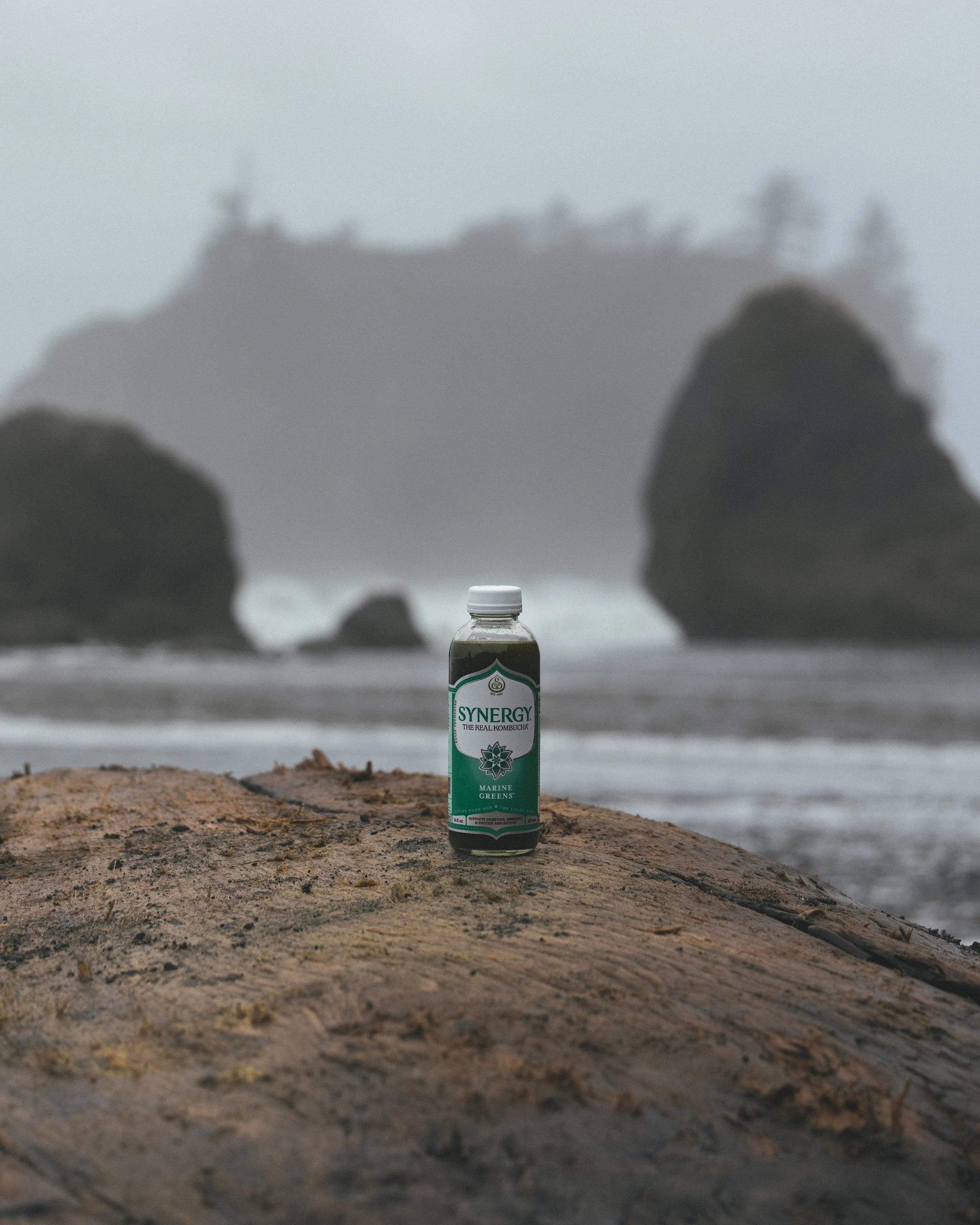 Synergy Kombucha Marine Greens Pacific Northwest Product And Life Style Spec Work