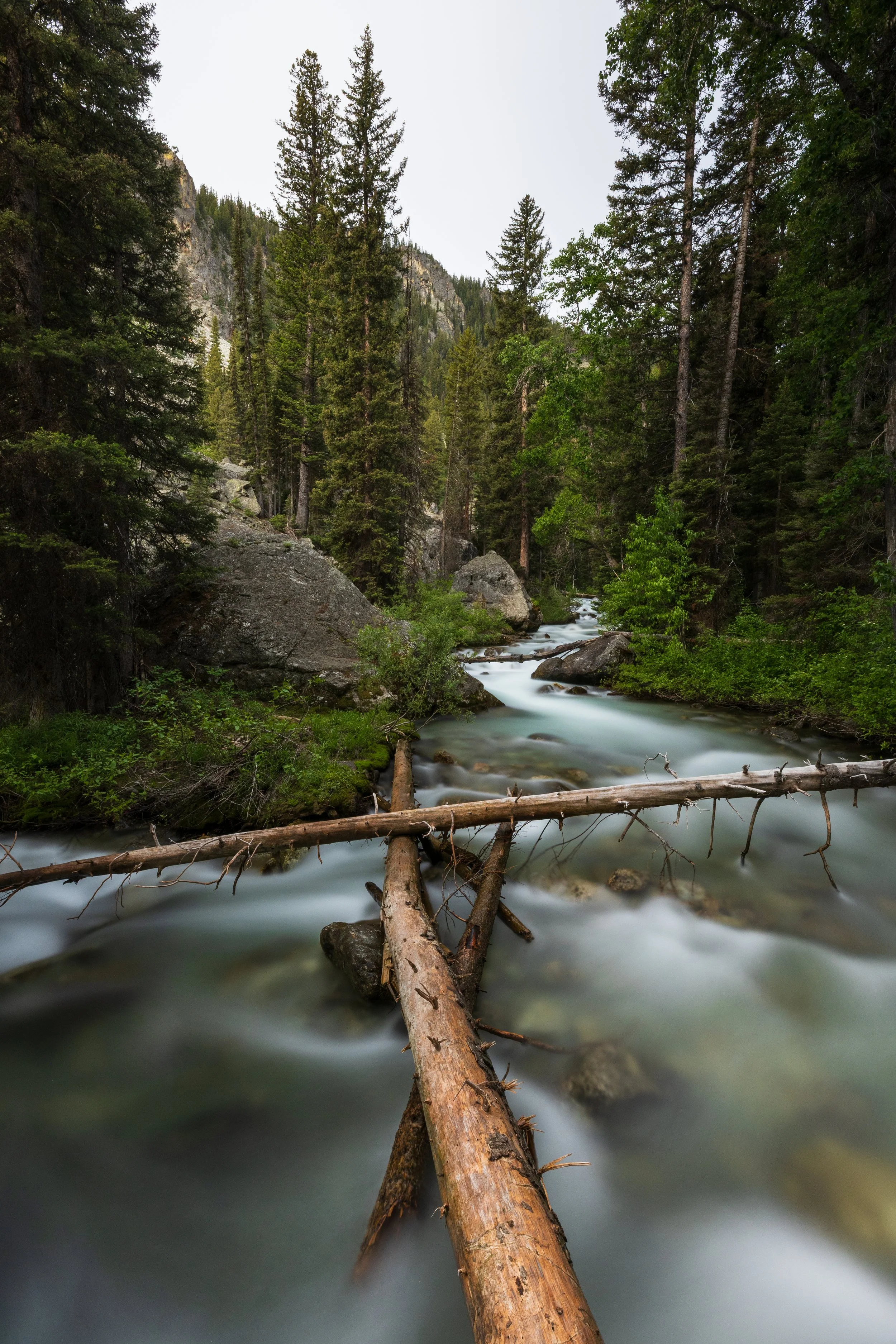 Grand Teton National Park