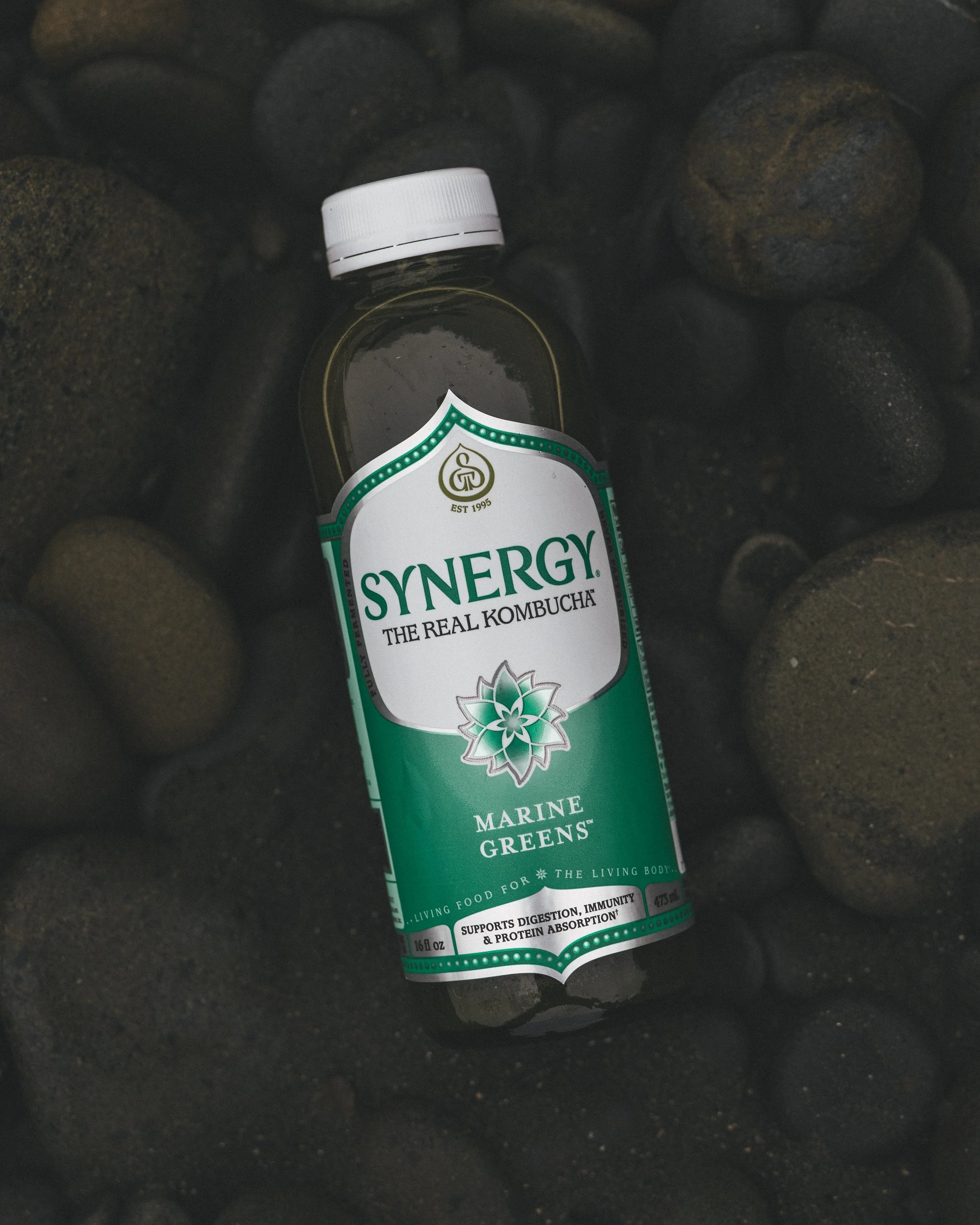 Synergy Kombucha Marine Greens Pacific Northwest Product And Life Style Spec Work