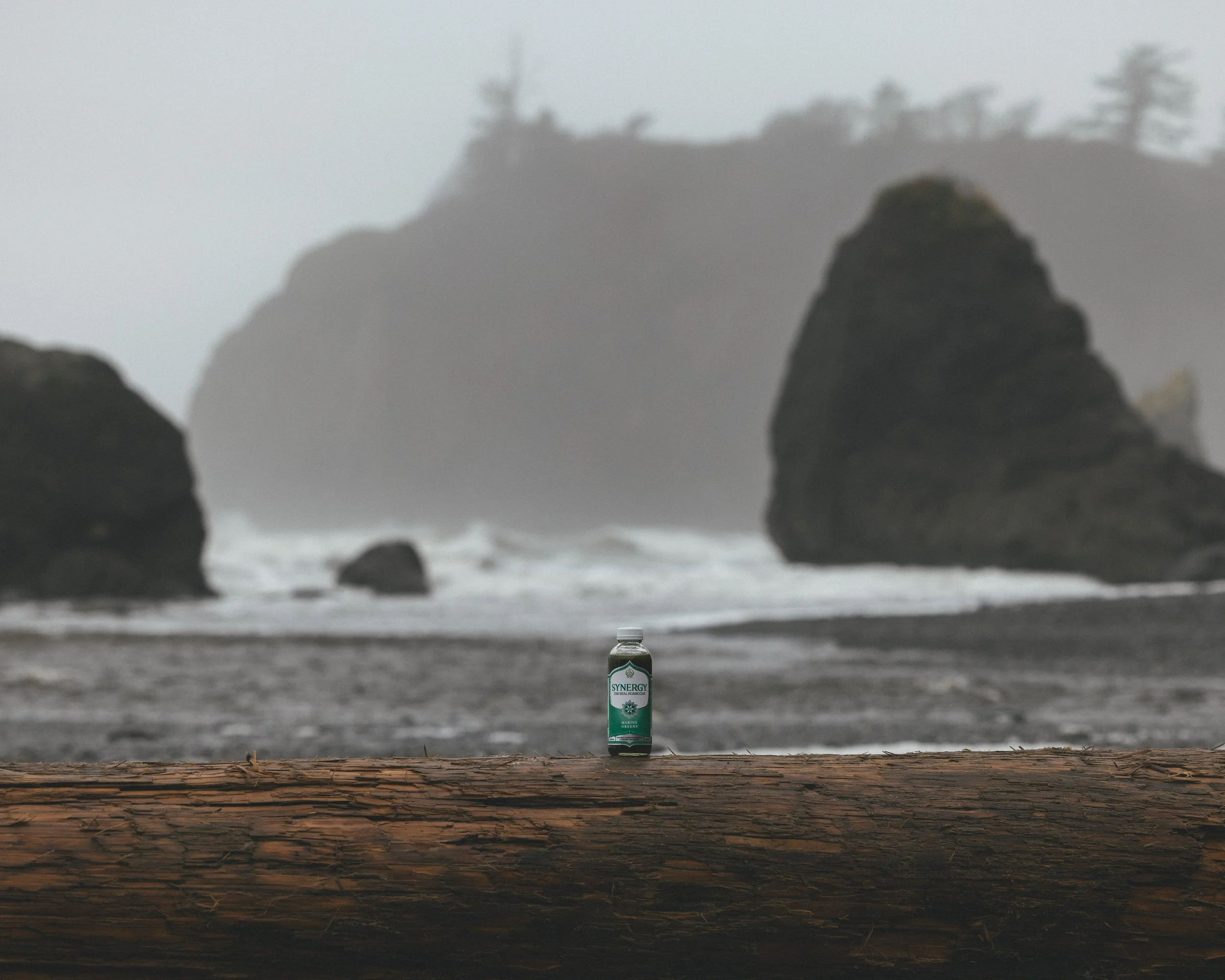 Synergy Kombucha Marine Greens Pacific Northwest Product And Life Style Spec Work