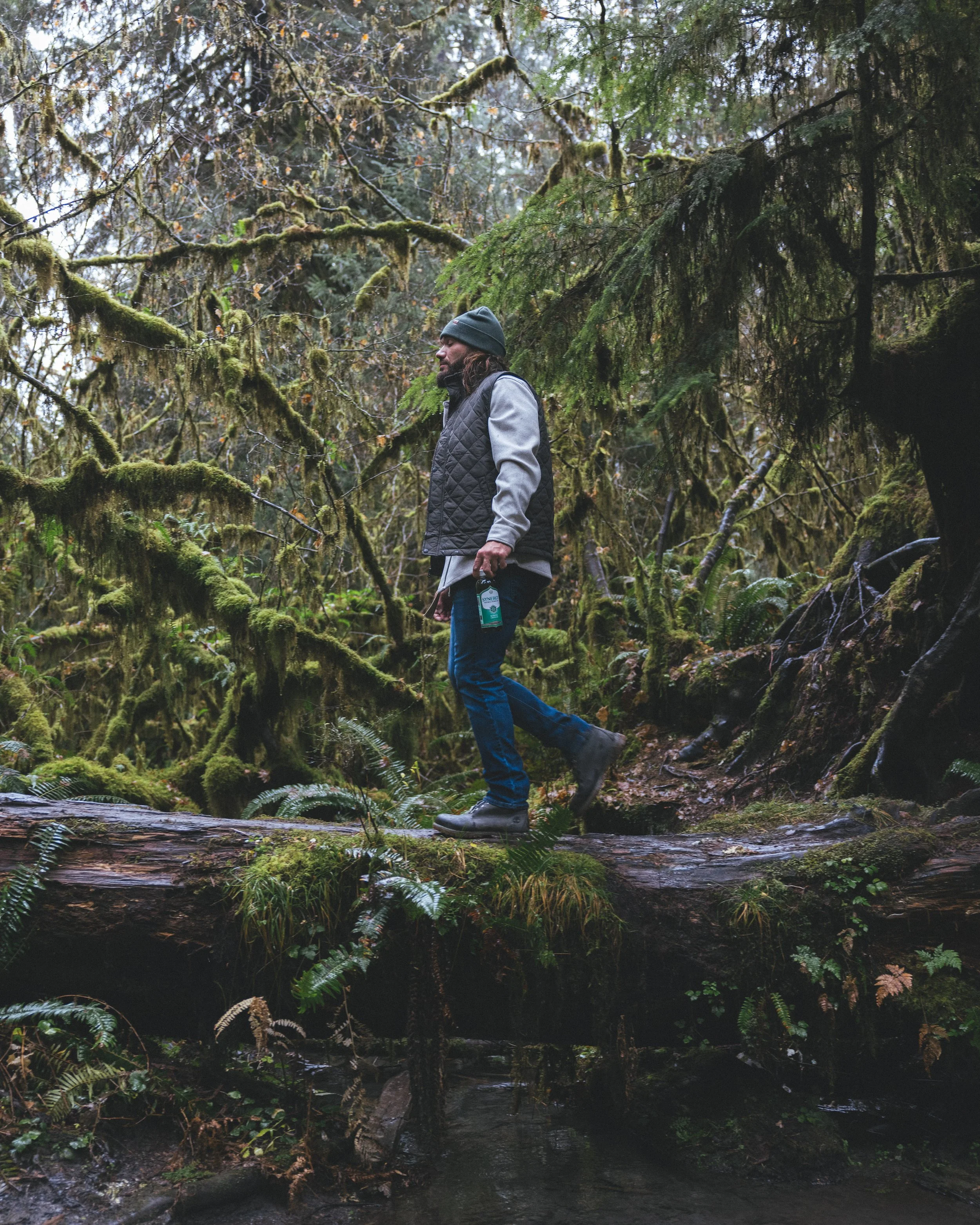 Synergy Kombucha Marine Greens Pacific Northwest Product And Life Style Spec Work