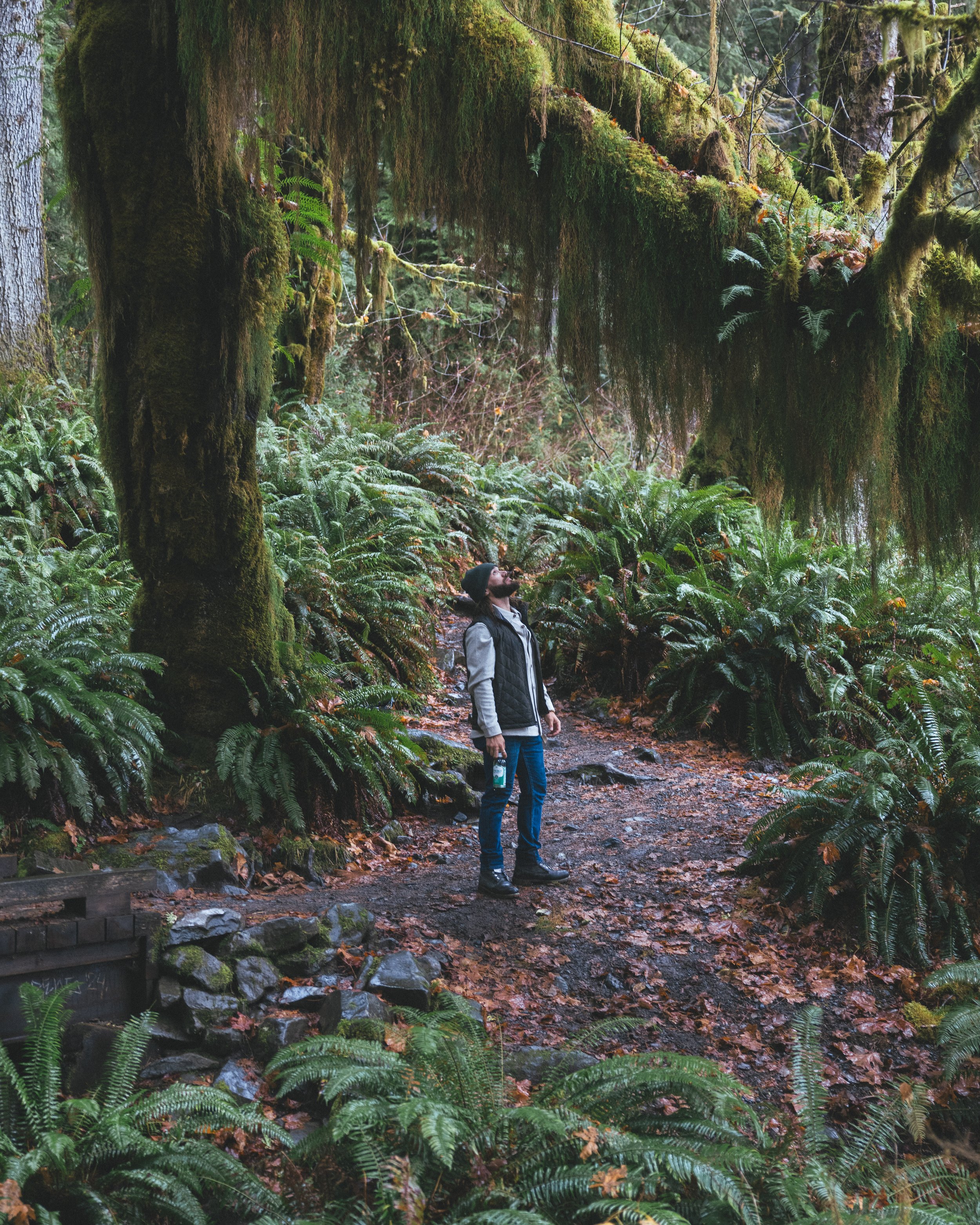 Synergy Kombucha Marine Greens Pacific Northwest Product And Life Style Spec Work