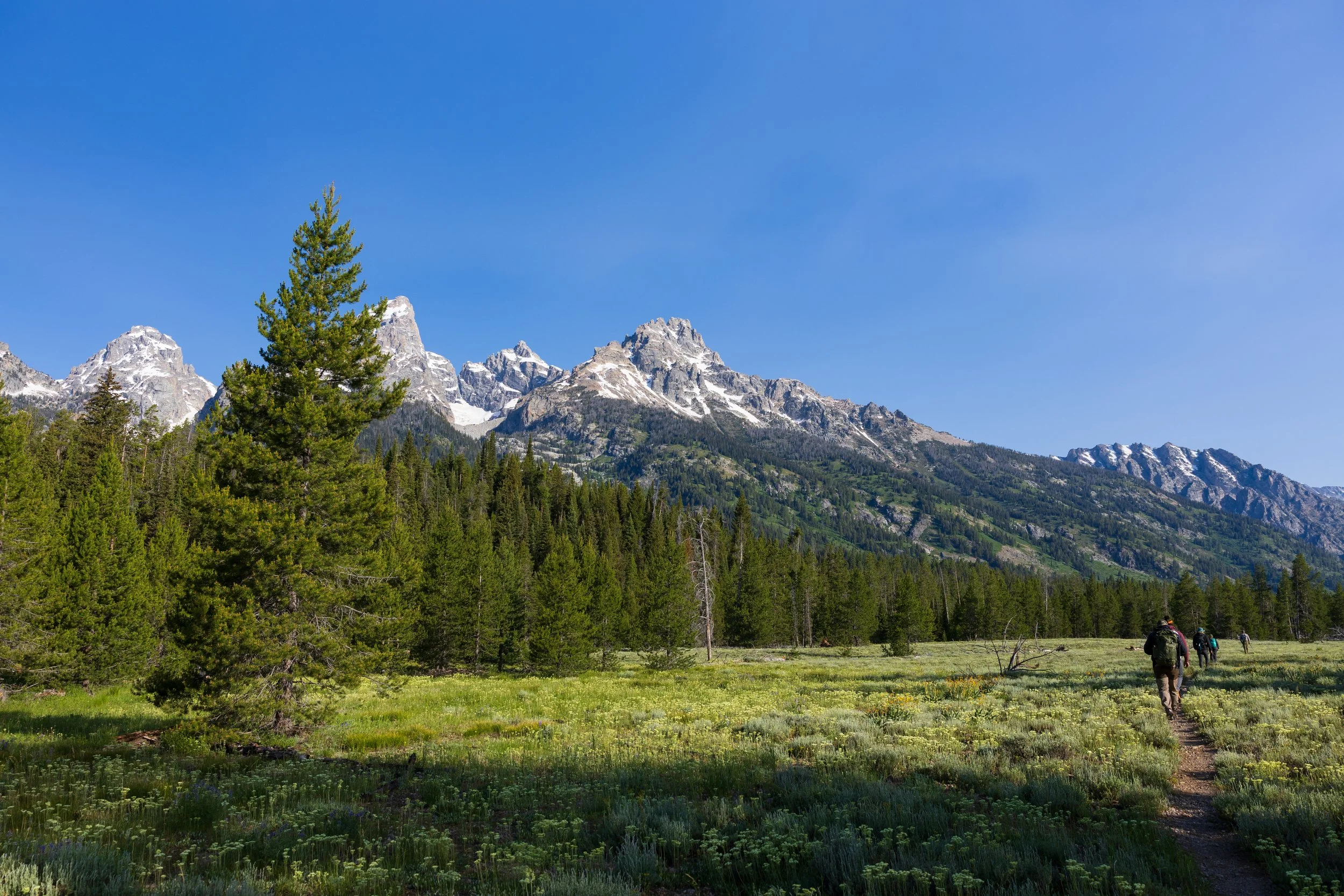 Grand Teton National Park