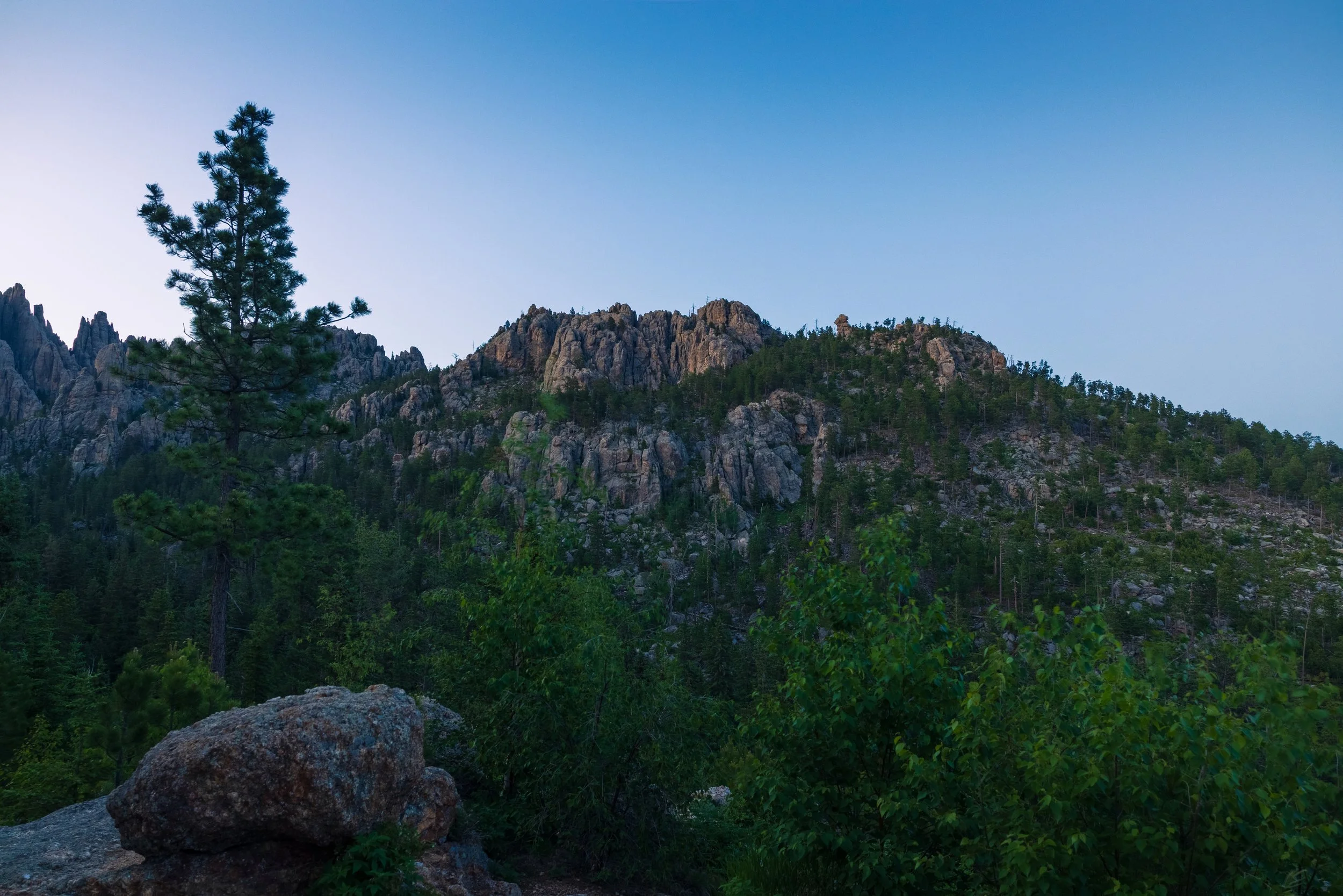 Custer State Park 
