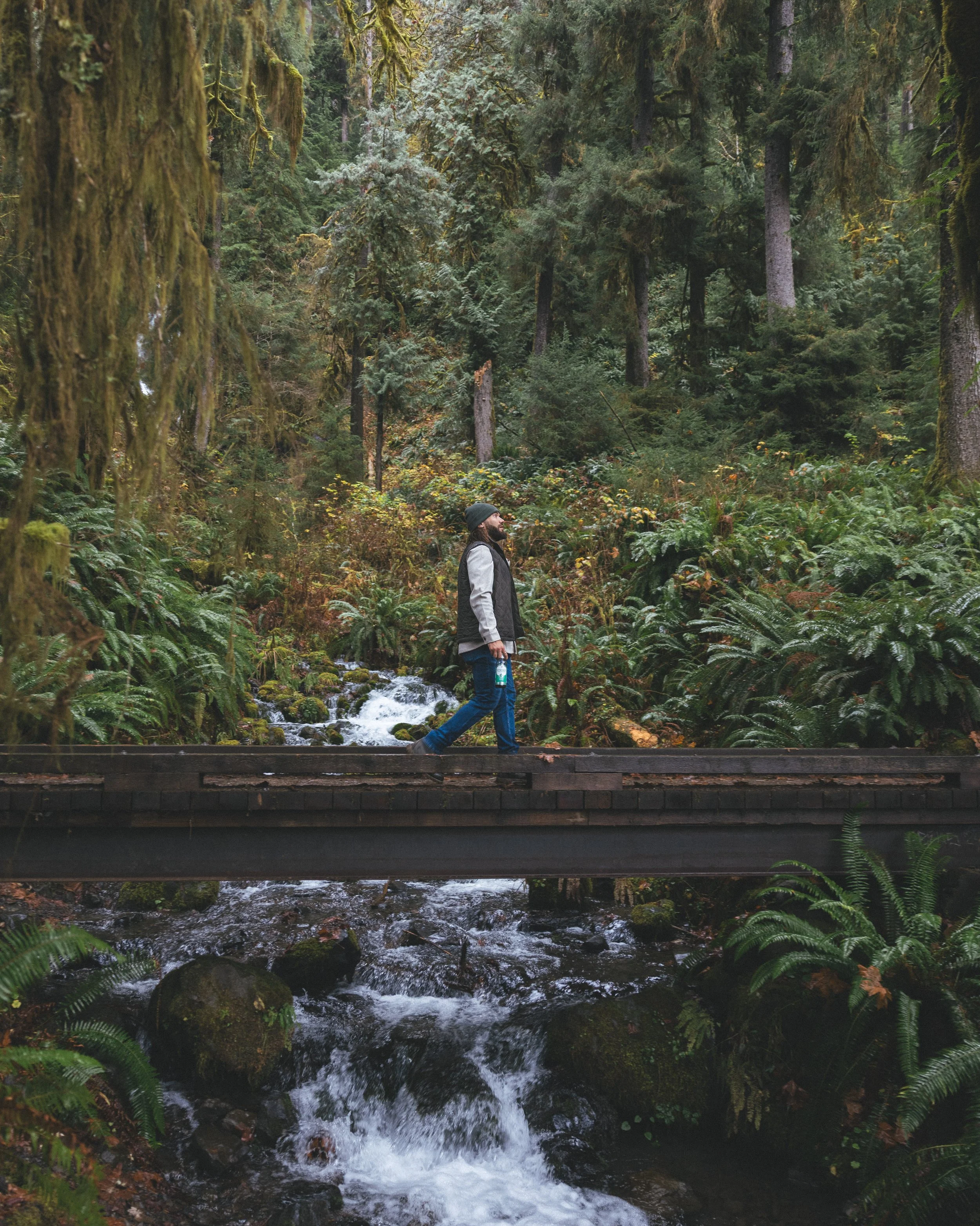 Synergy Kombucha Marine Greens Pacific Northwest Product And Life Style Spec Work