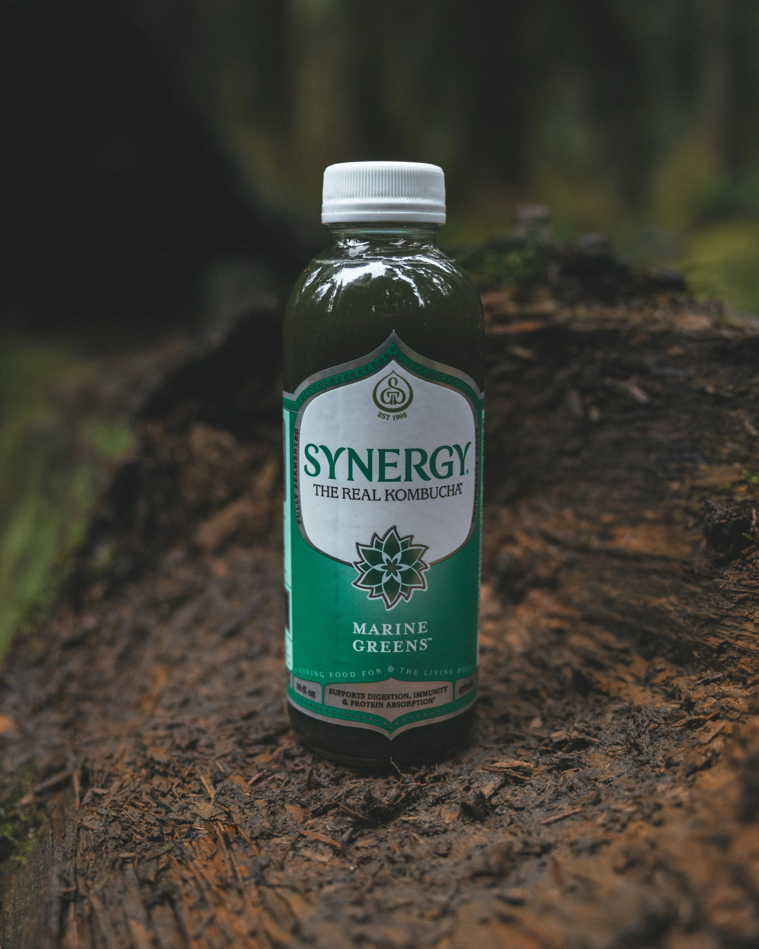 Synergy Kombucha Marine Greens Pacific Northwest Product And Life Style Spec Work