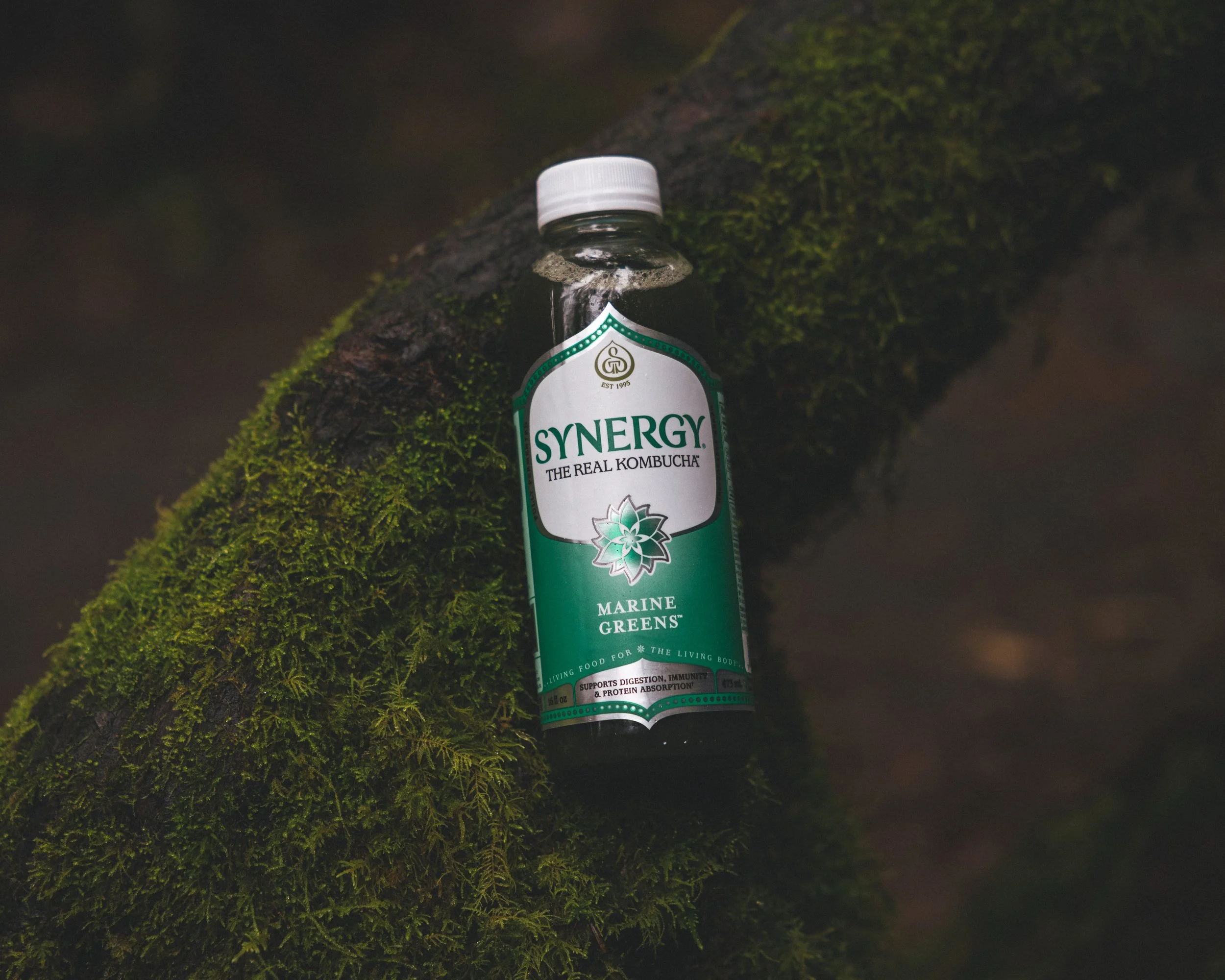 Synergy Kombucha Marine Greens Pacific Northwest Product And Life Style Spec Work