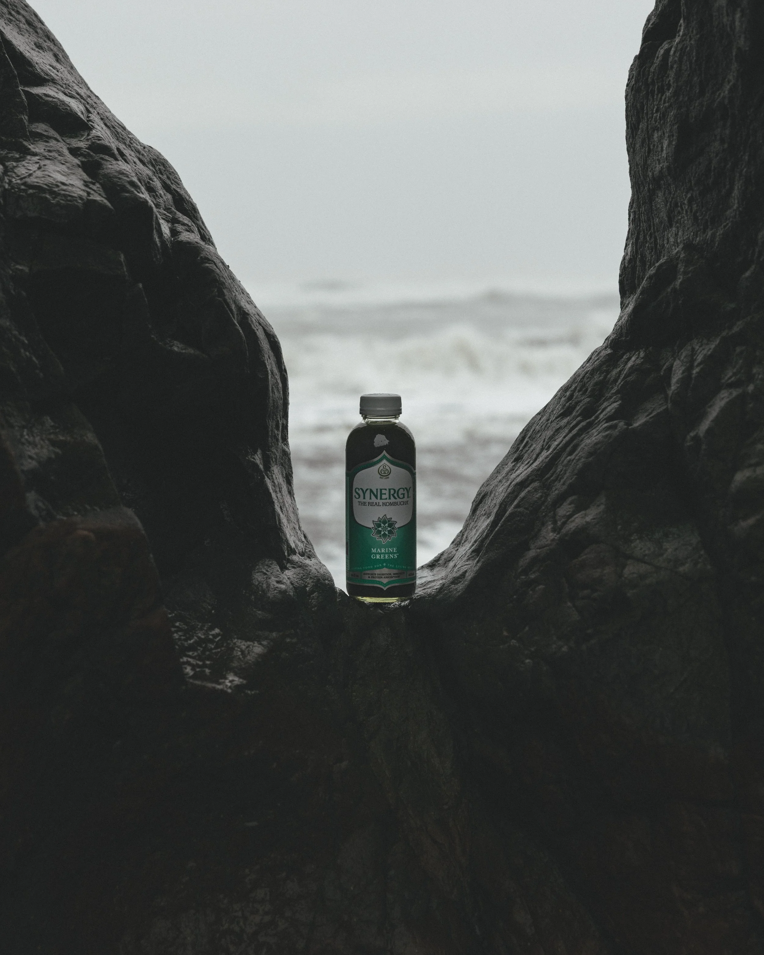 Synergy Kombucha Marine Greens Pacific Northwest Product And Life Style Spec Work