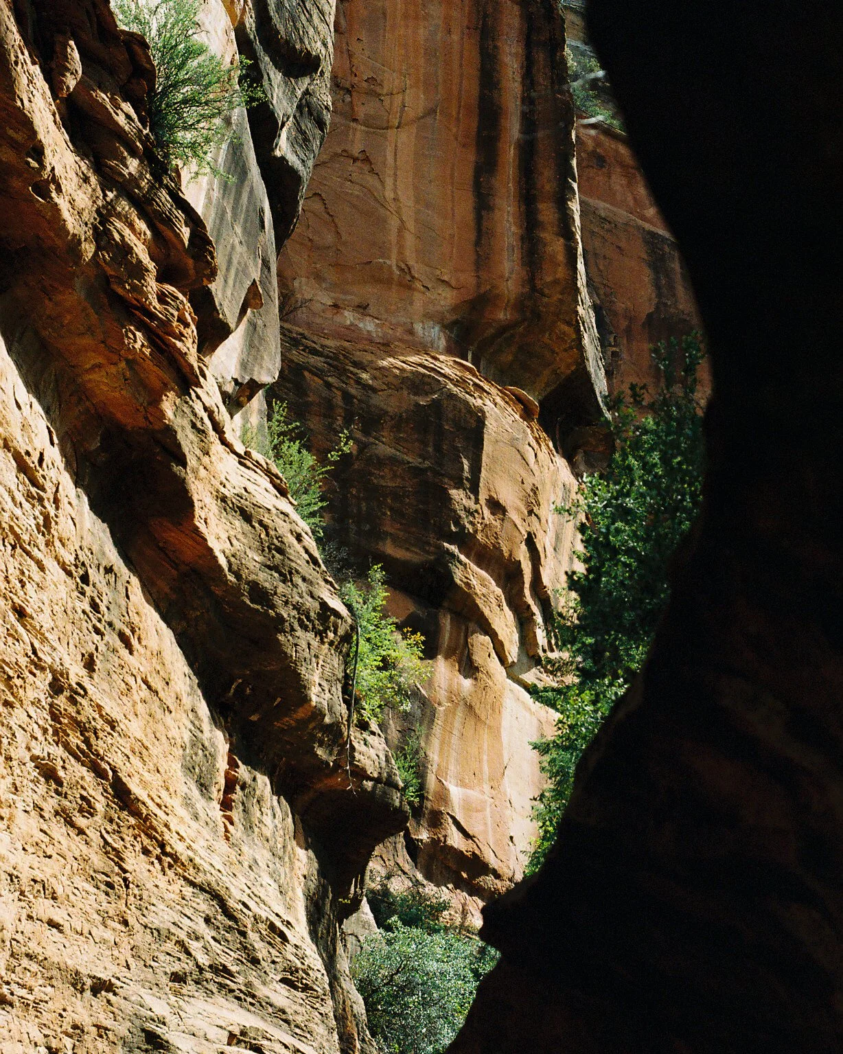 Sedona Arizona On Film West Fork Trail