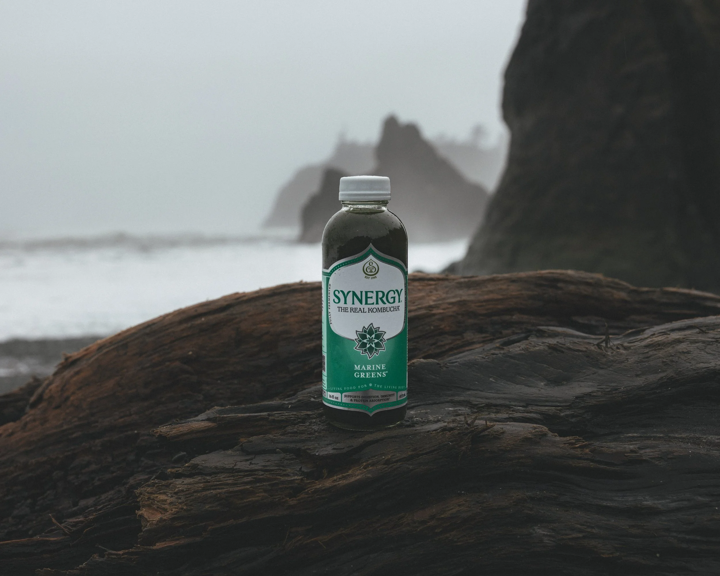 Synergy Kombucha Marine Greens Pacific Northwest Product And Life Style Spec Work