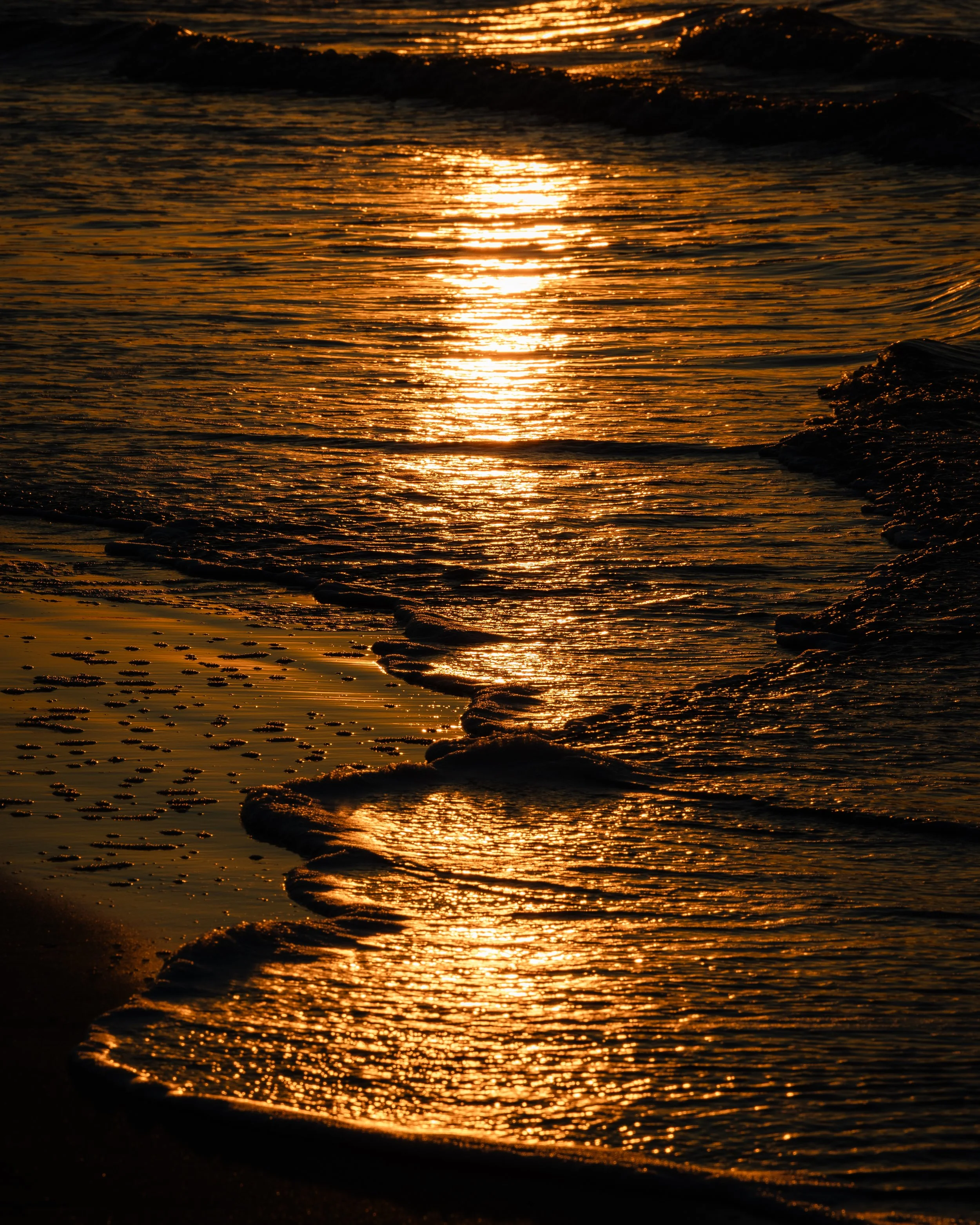 Charleston South Carolina 