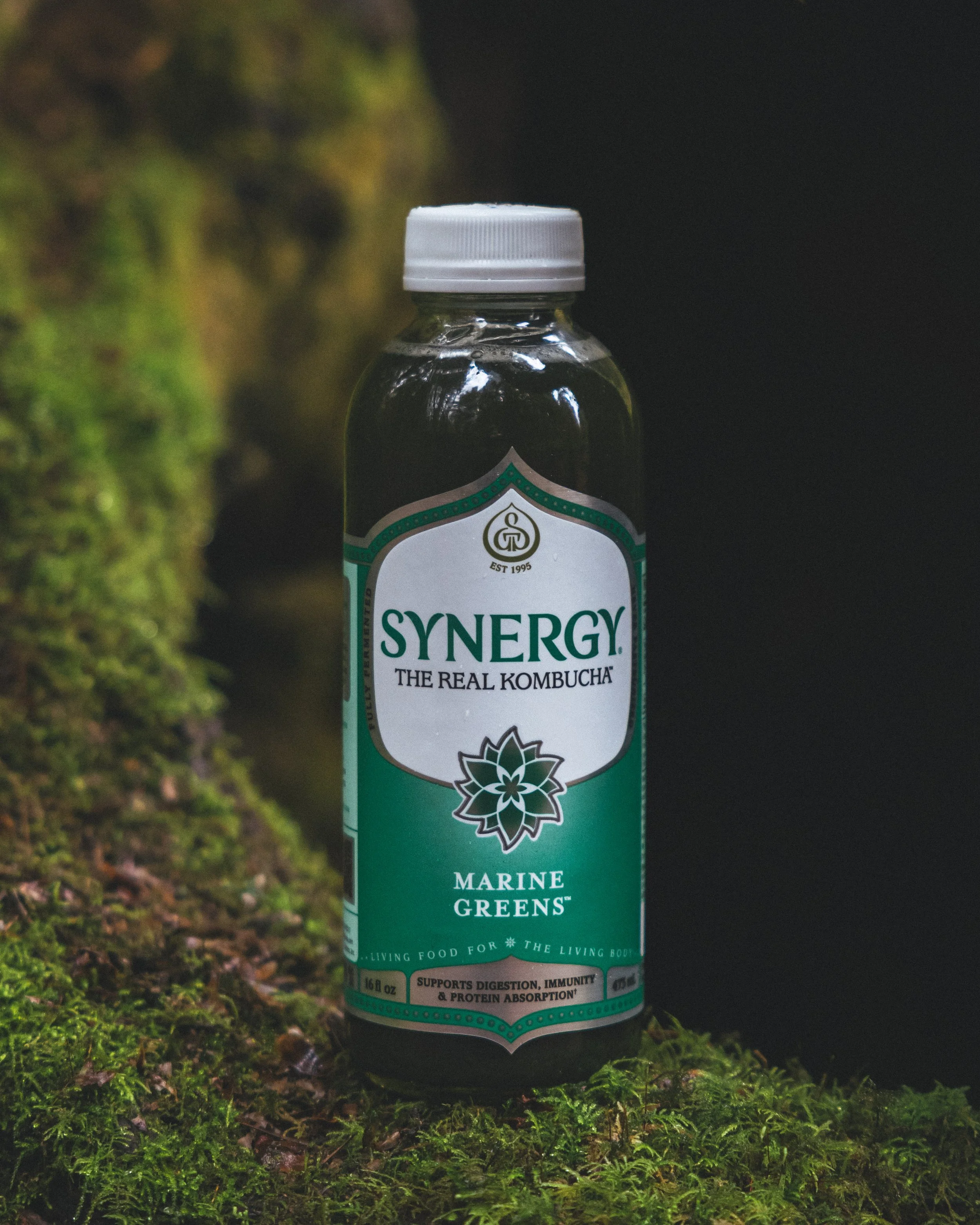 Synergy Kombucha Marine Greens Pacific Northwest Product And Life Style Spec Work