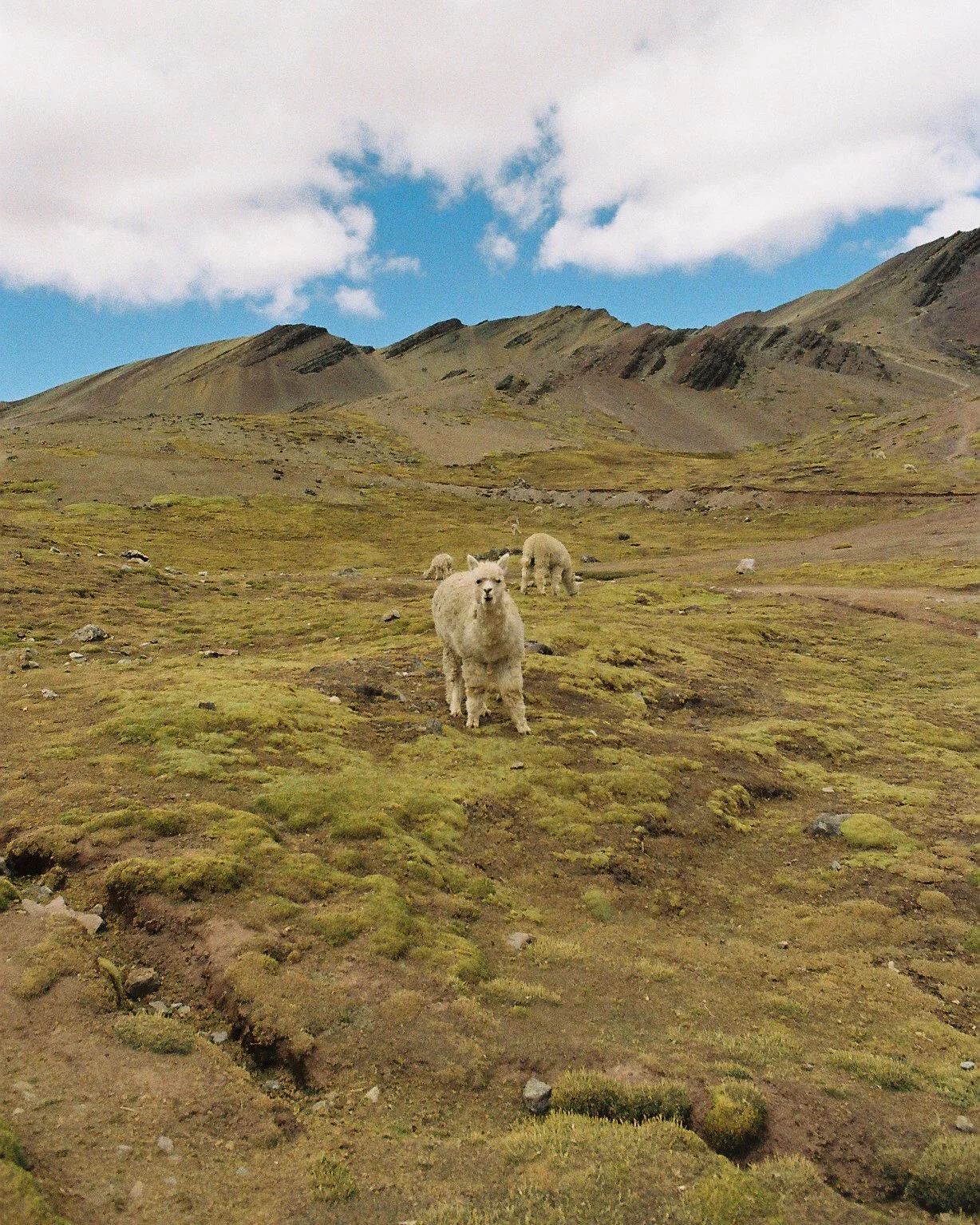 Peru On Film Rainbow Mountain And Andes Mountains