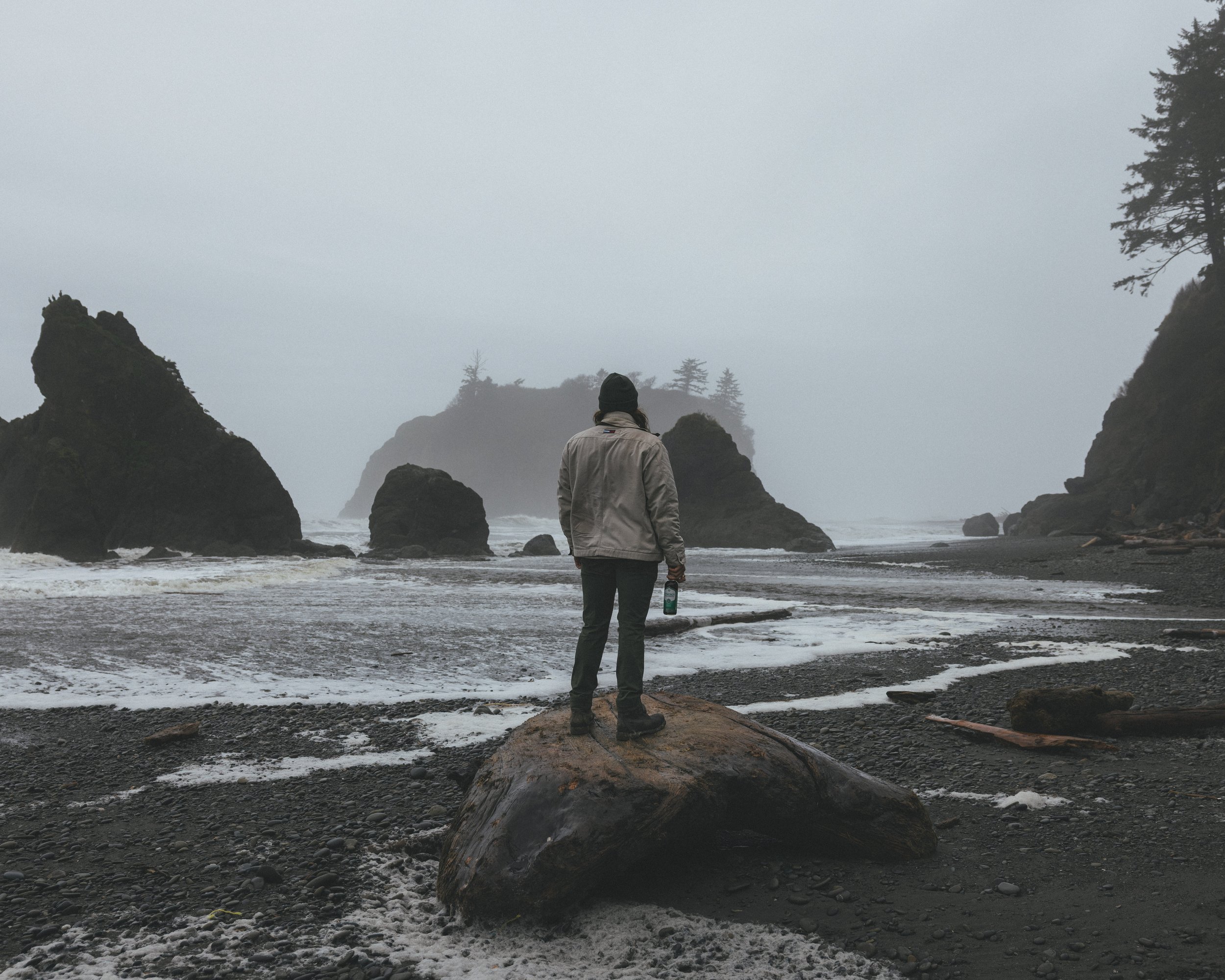 Synergy Kombucha Marine Greens Pacific Northwest Product And Life Style Spec Work