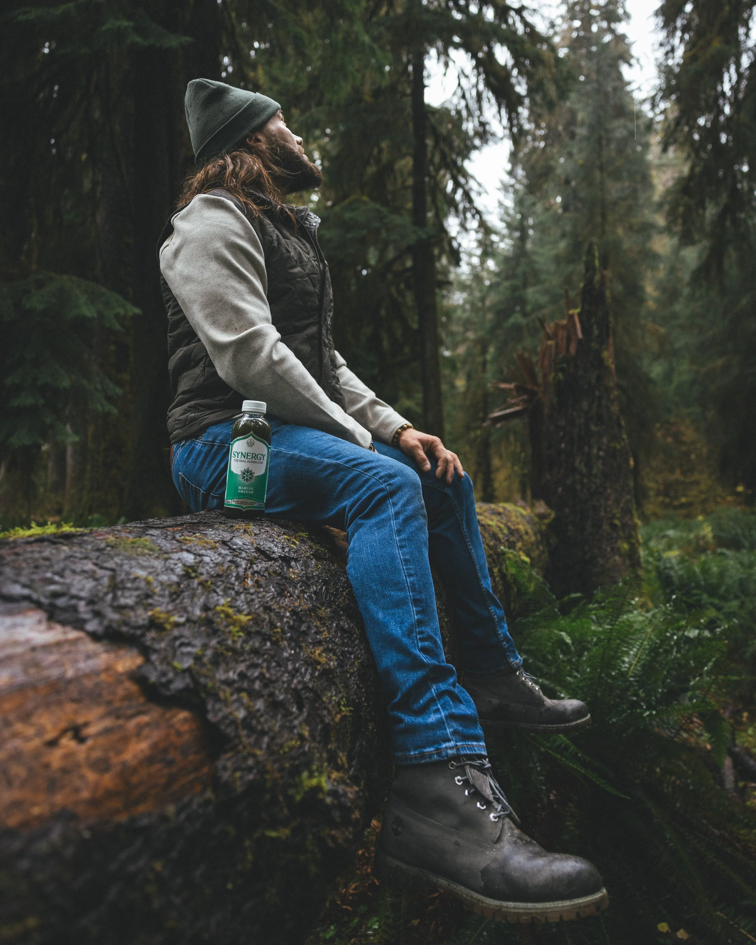 Synergy Kombucha Marine Greens Pacific Northwest Product And Life Style Spec Work