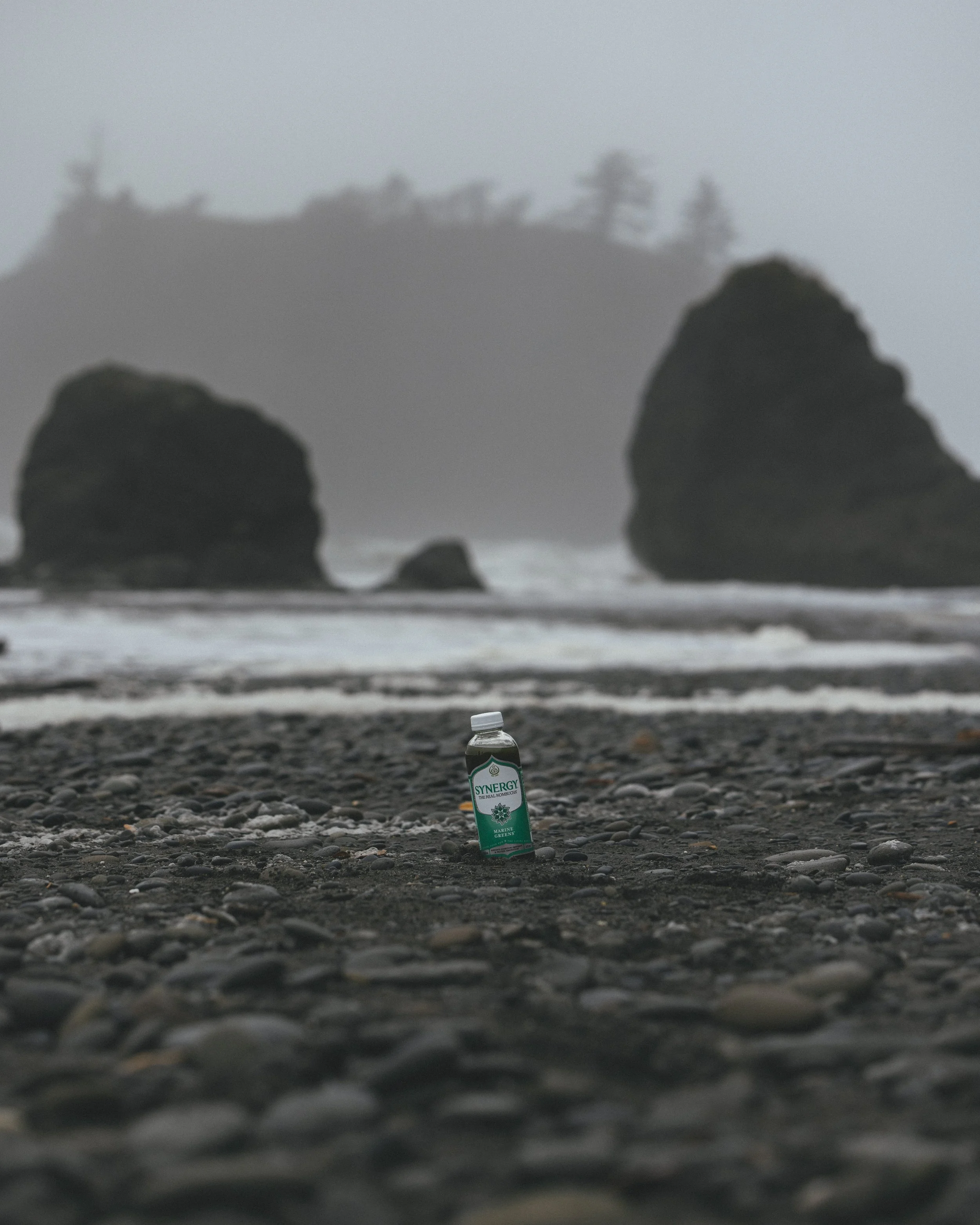 Synergy Kombucha Marine Greens Pacific Northwest Product And Life Style Spec Work