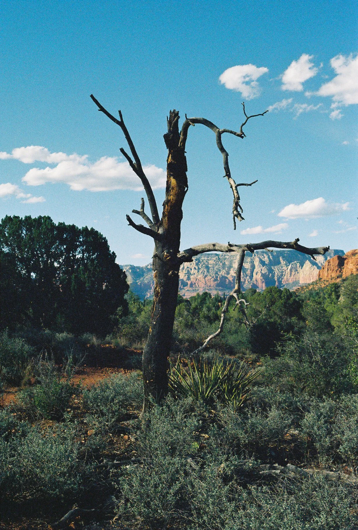 Sedona Arizona On Film 