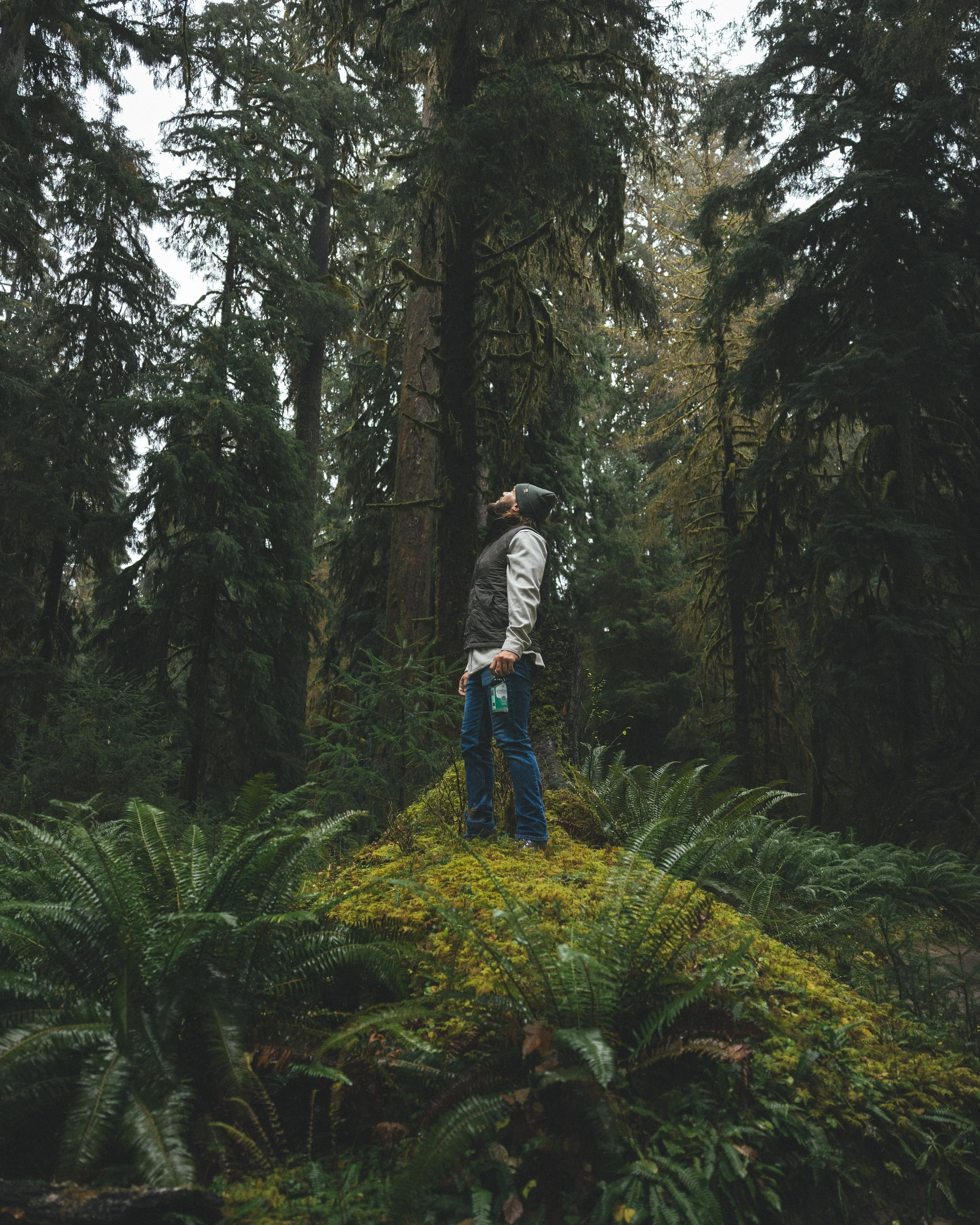 Synergy Kombucha Marine Greens Pacific Northwest Product And Life Style Spec Work