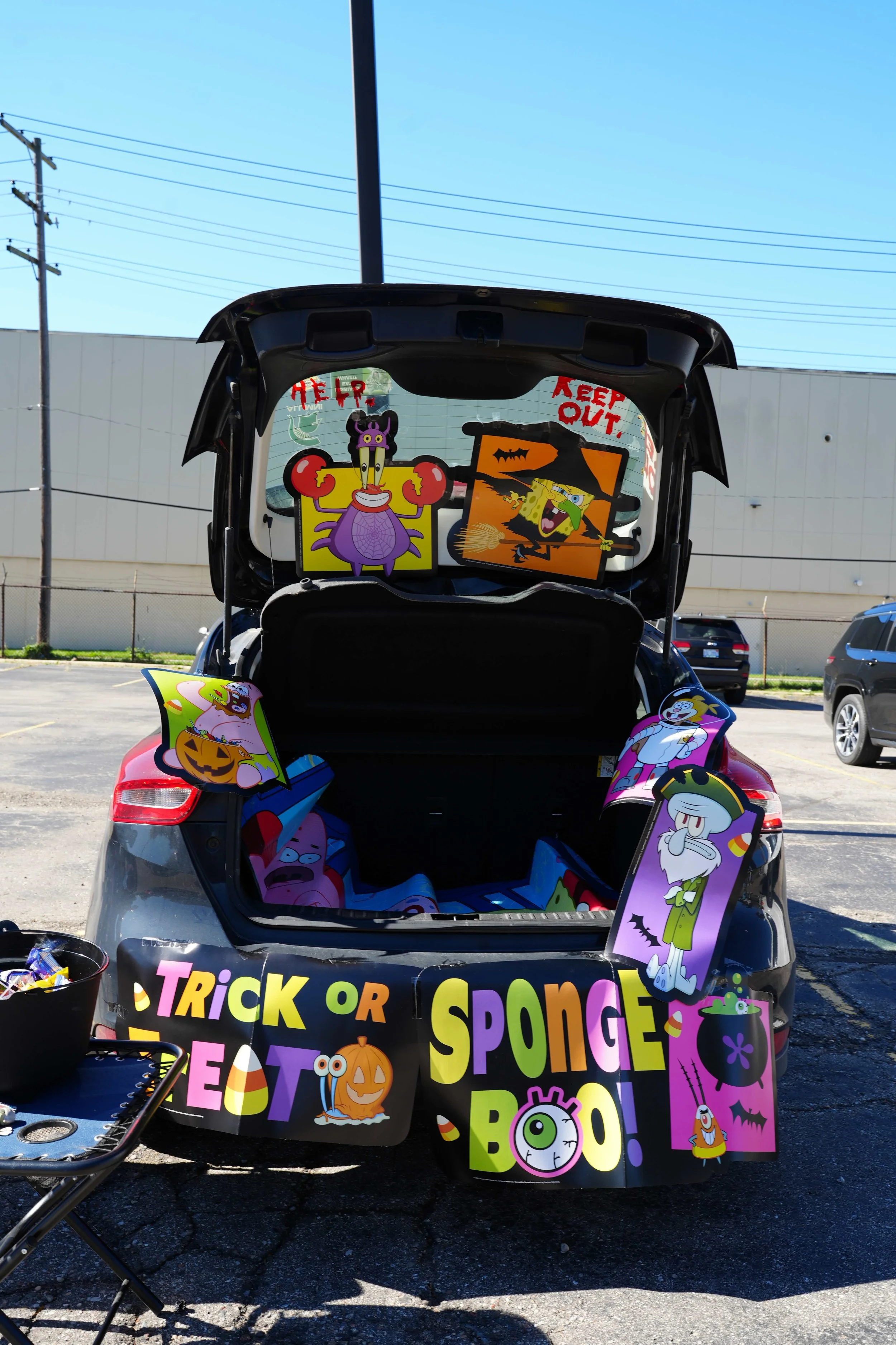 DSC08519-cmpr.jpg