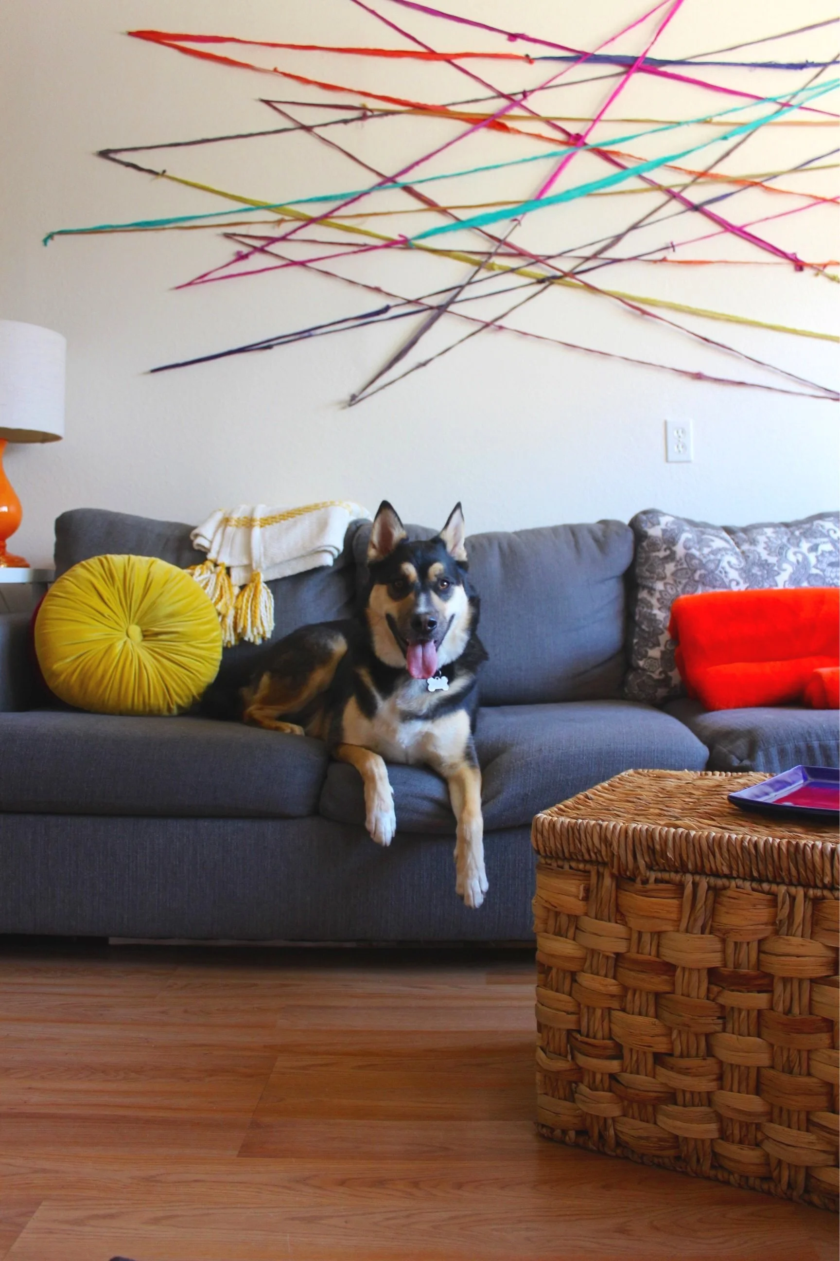 Interior of Yellow Trellis Counseling with cute dog